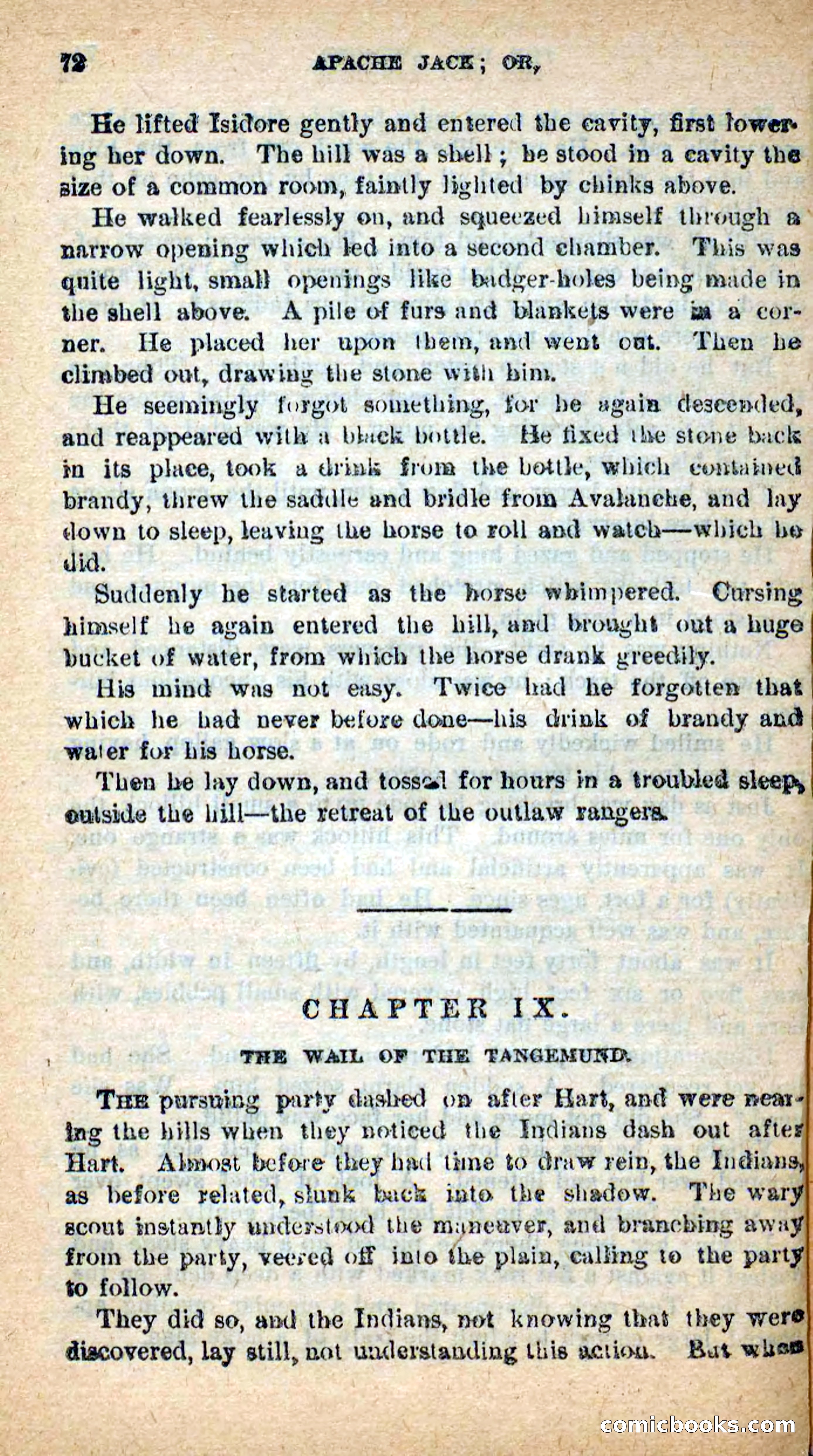Beadle's New Dime Novels: The Dog Trailer — page 69 of 101