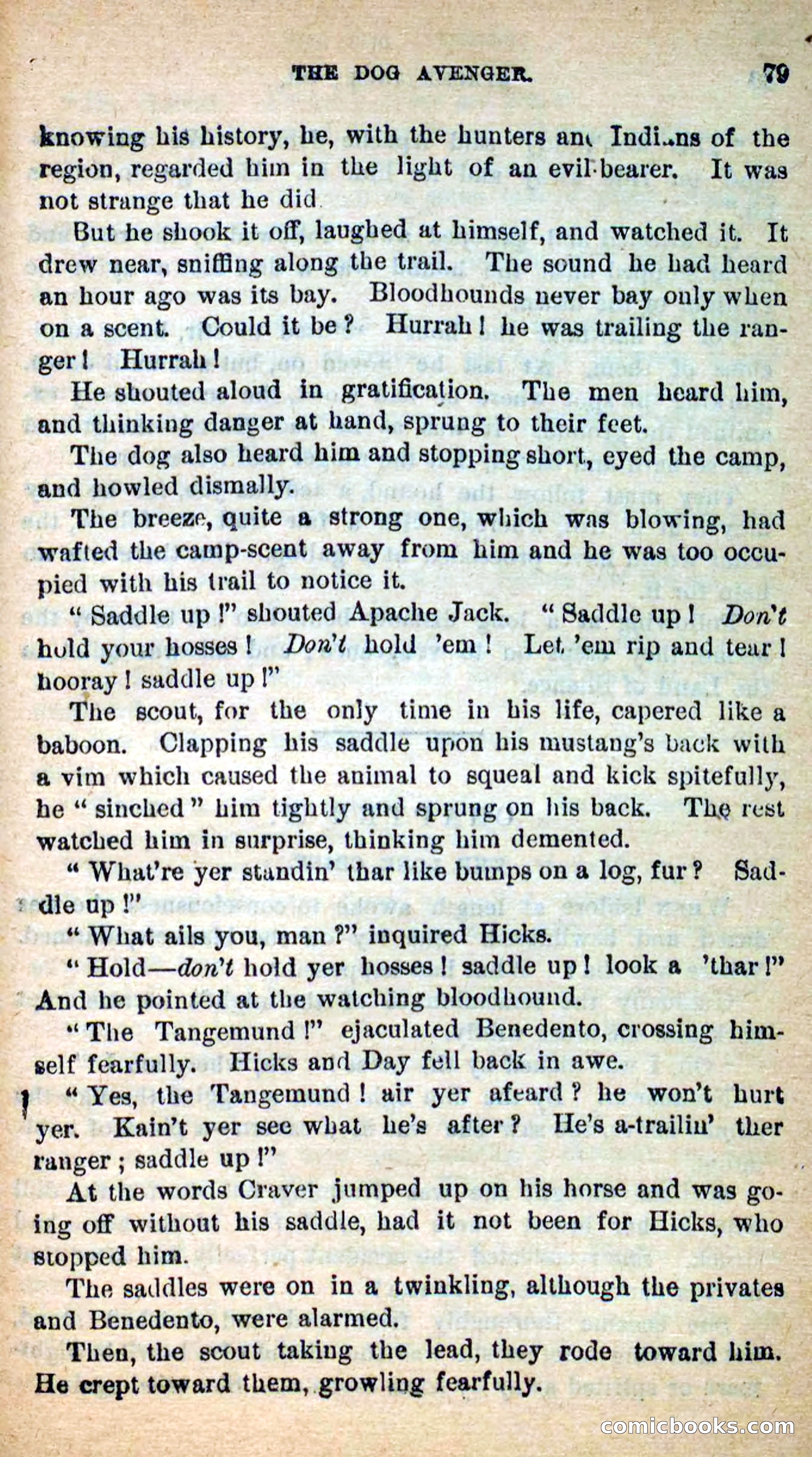 Beadle's New Dime Novels: The Dog Trailer — page 76 of 101