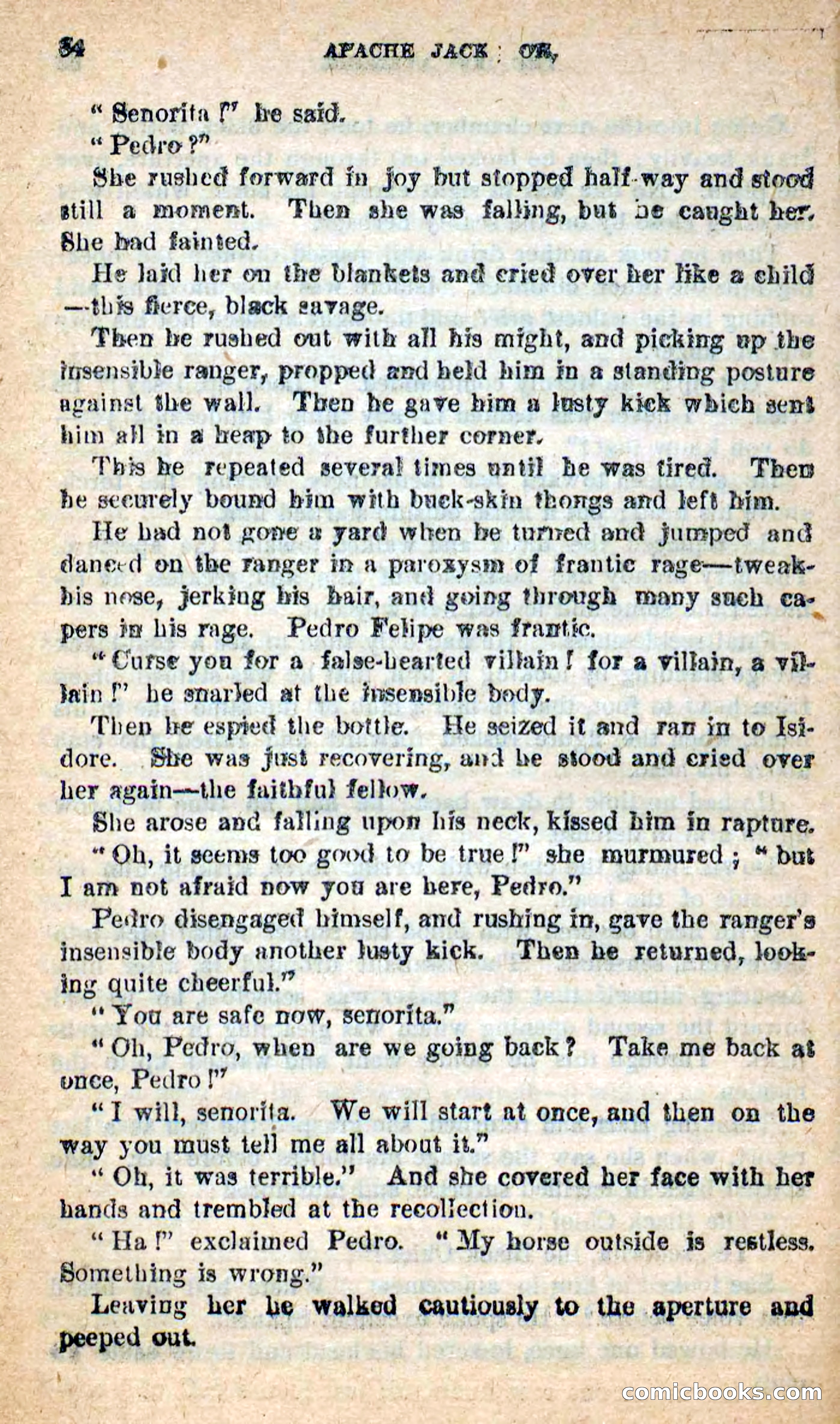 Beadle's New Dime Novels: The Dog Trailer — page 81 of 101