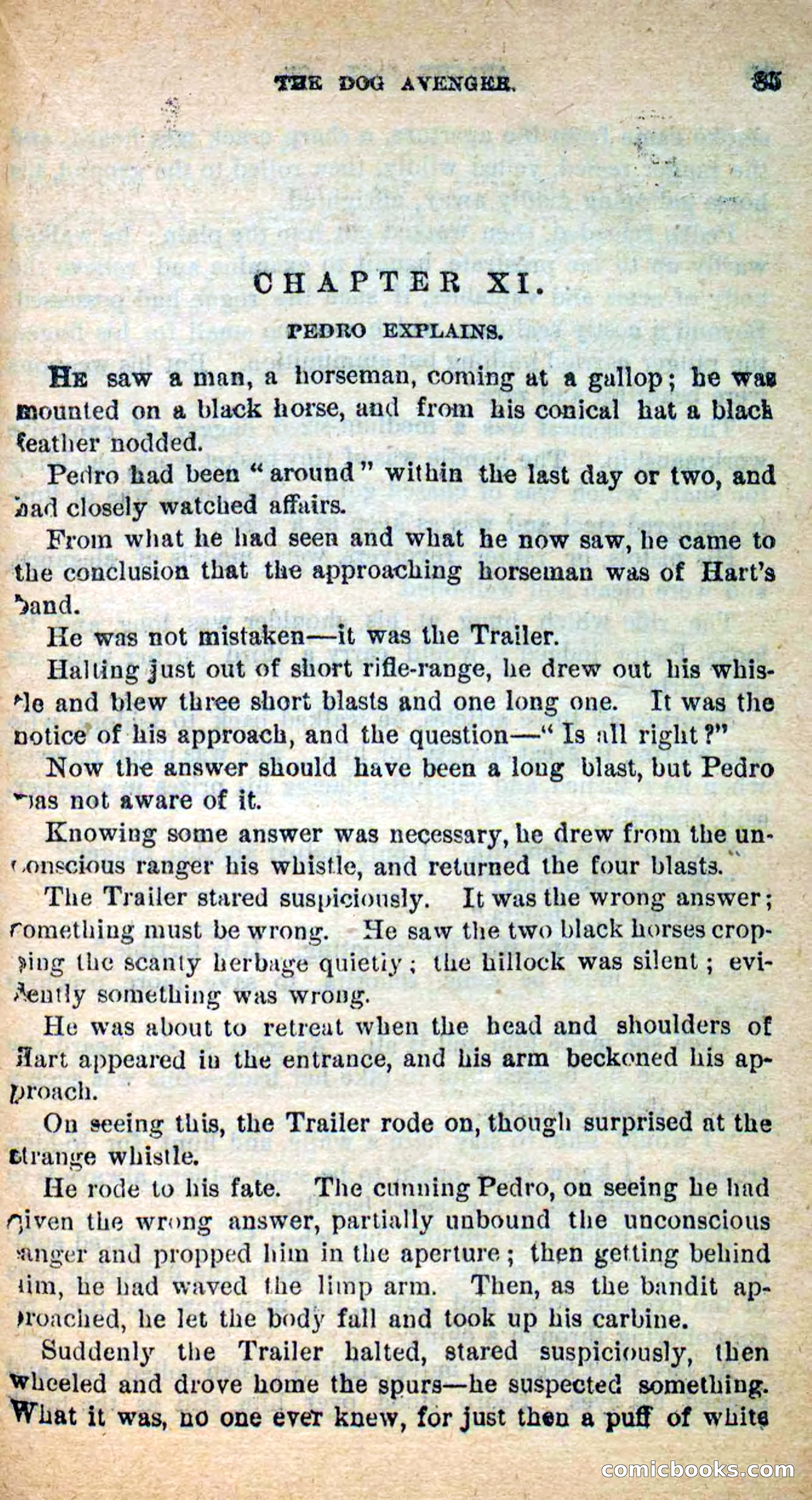 Beadle's New Dime Novels: The Dog Trailer — page 82 of 101