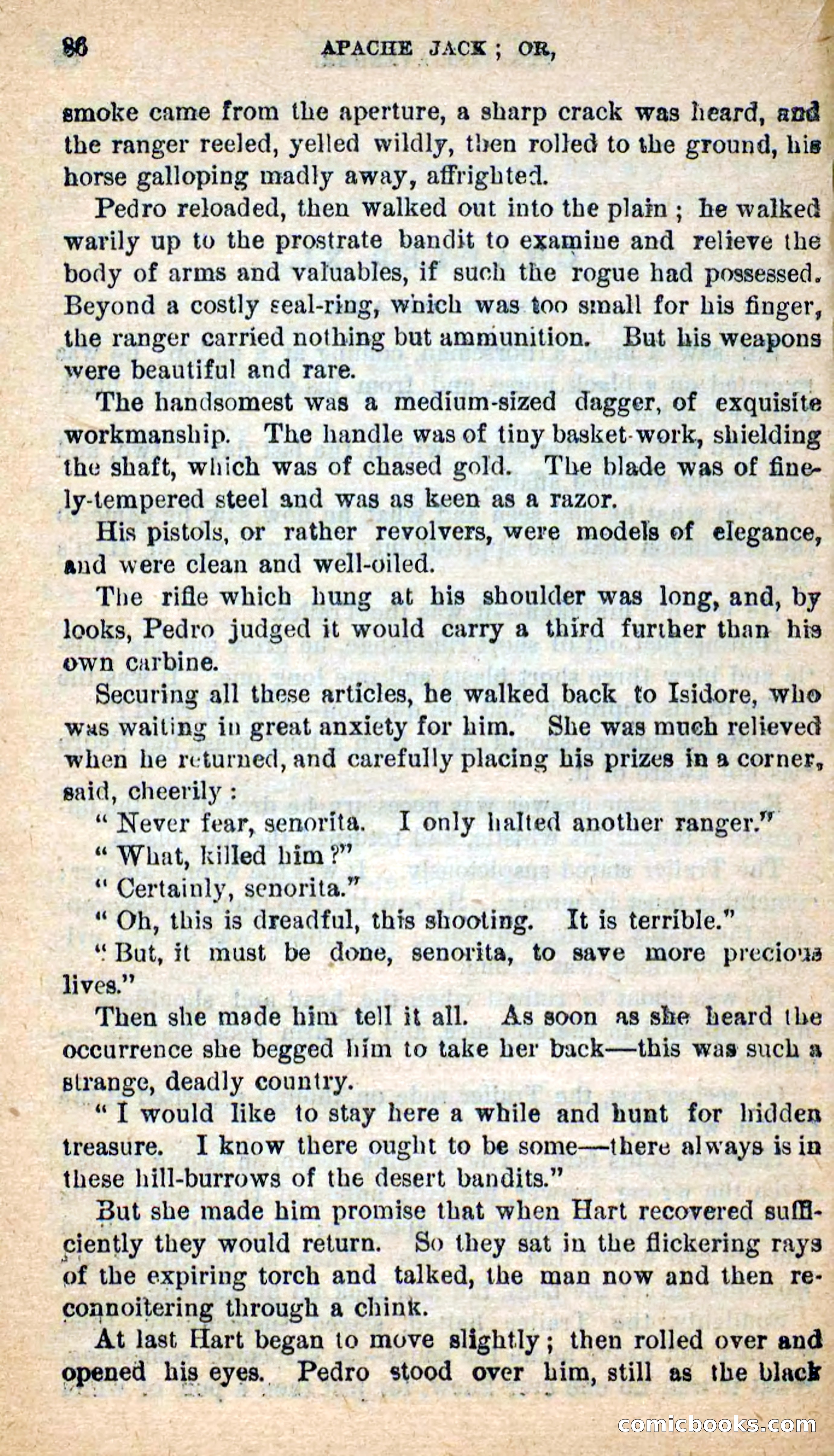 Beadle's New Dime Novels: The Dog Trailer — page 83 of 101