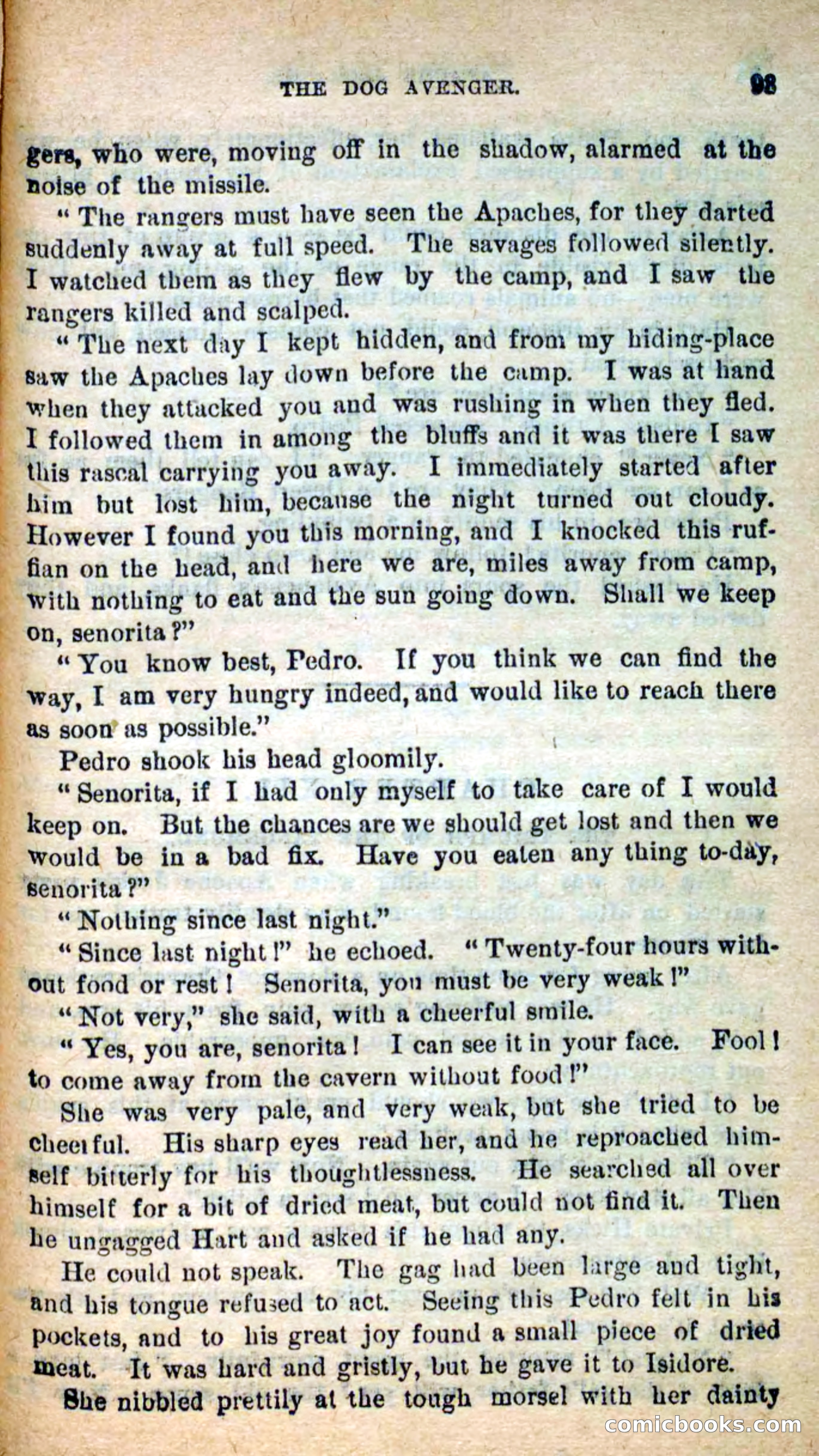 Beadle's New Dime Novels: The Dog Trailer — page 90 of 101