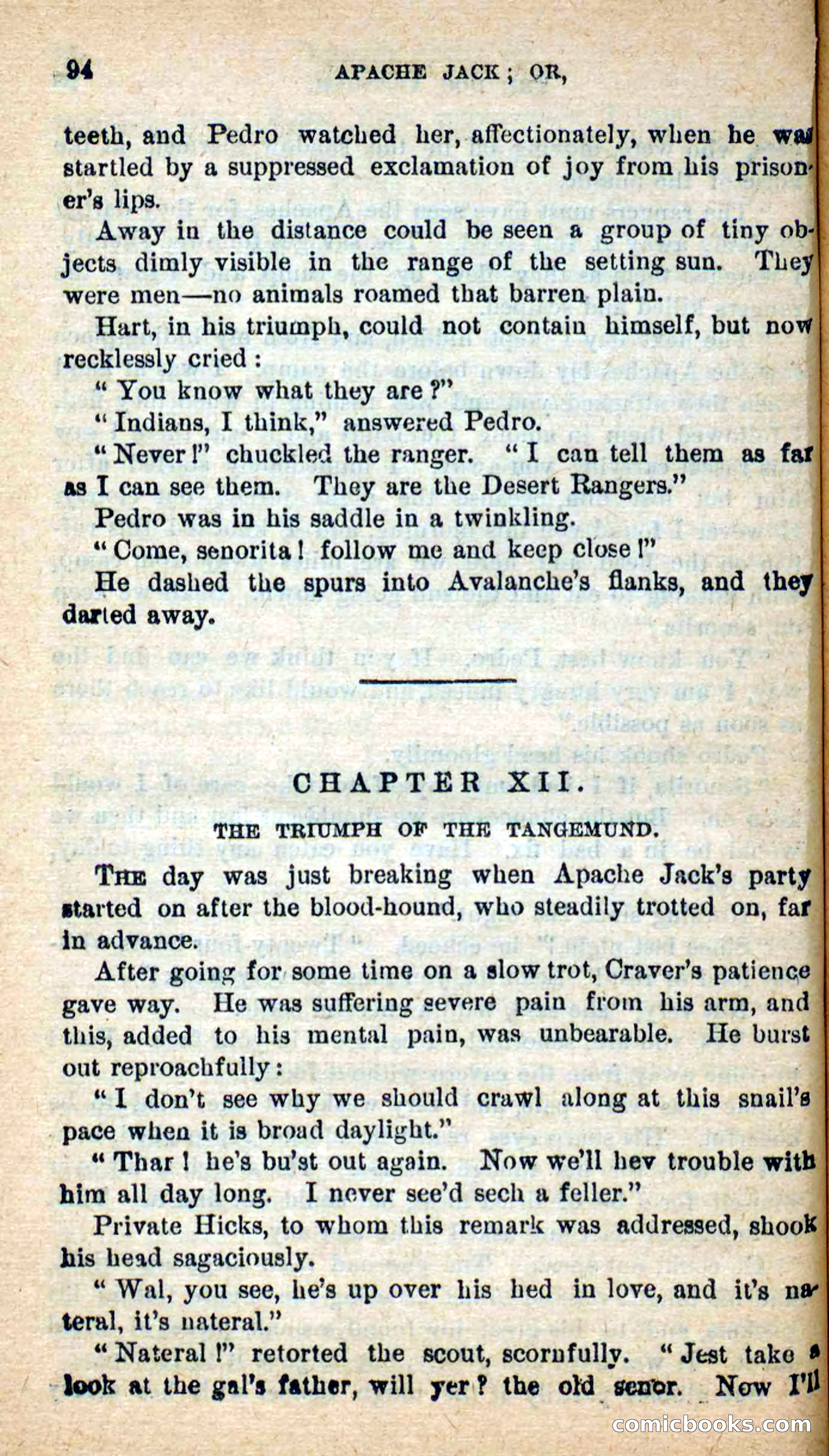Beadle's New Dime Novels: The Dog Trailer — page 91 of 101