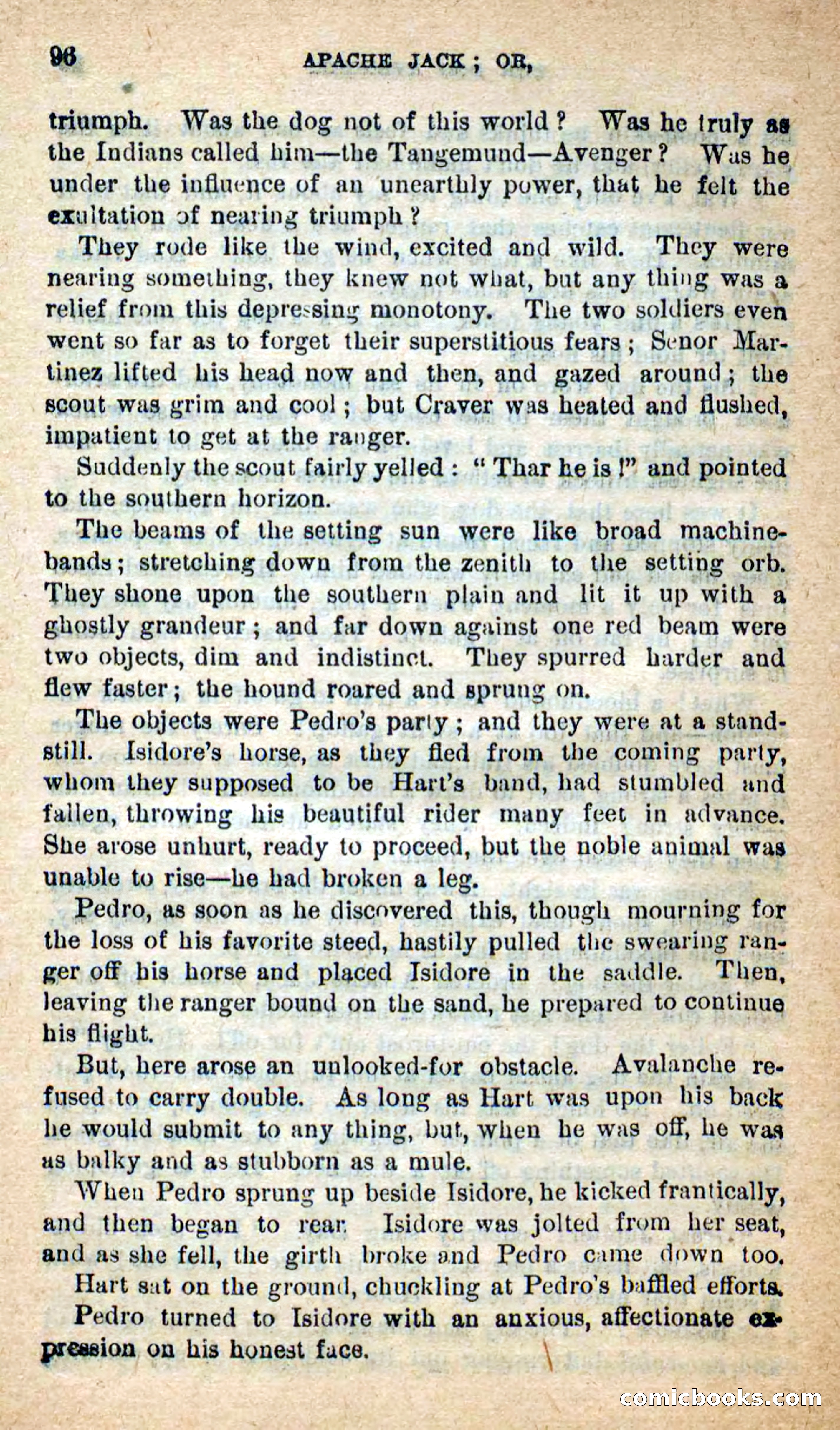 Beadle's New Dime Novels: The Dog Trailer — page 93 of 101