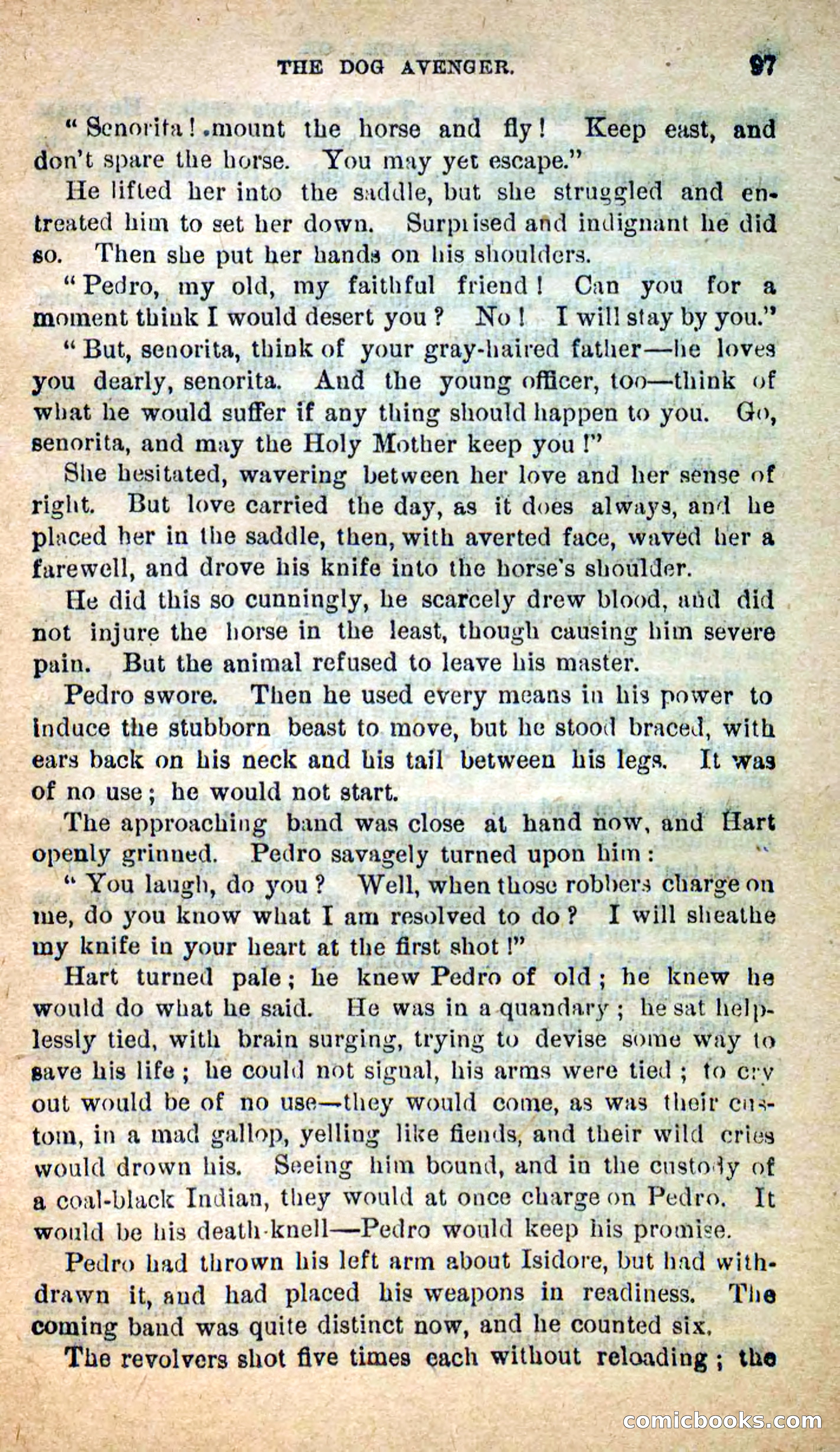 Beadle's New Dime Novels: The Dog Trailer — page 94 of 101