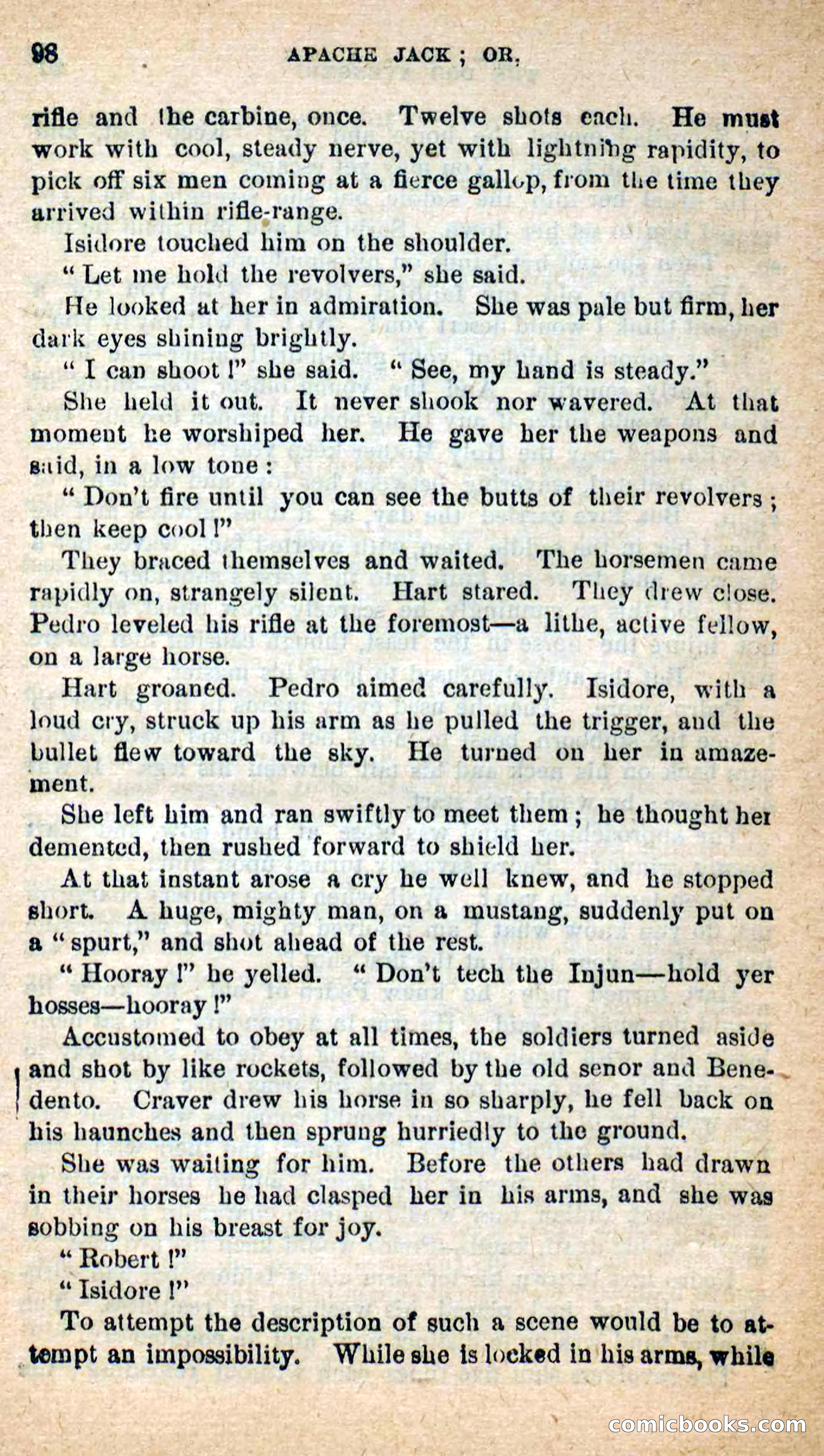 Beadle's New Dime Novels: The Dog Trailer — page 95 of 101