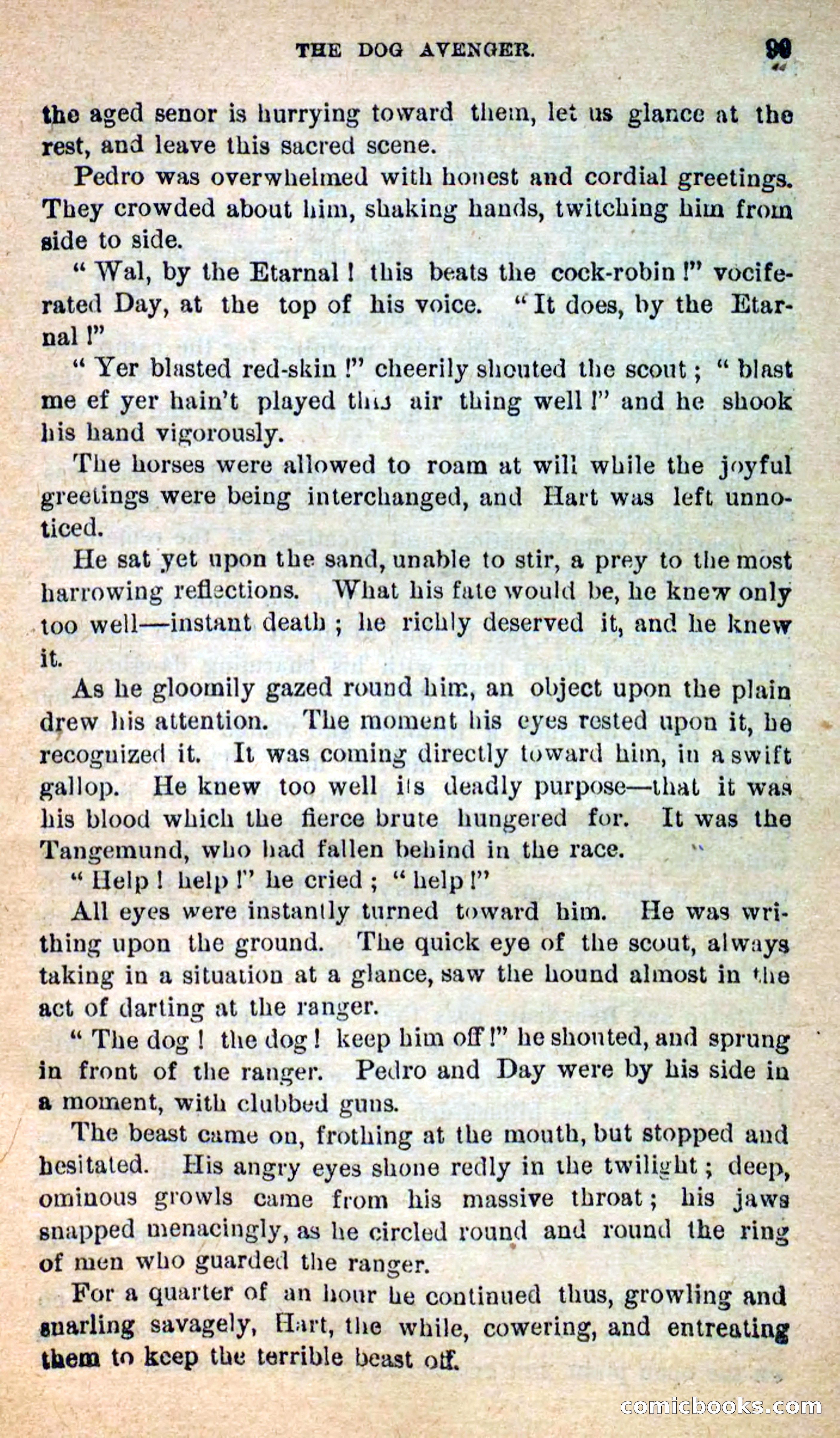 Beadle's New Dime Novels: The Dog Trailer — page 96 of 101