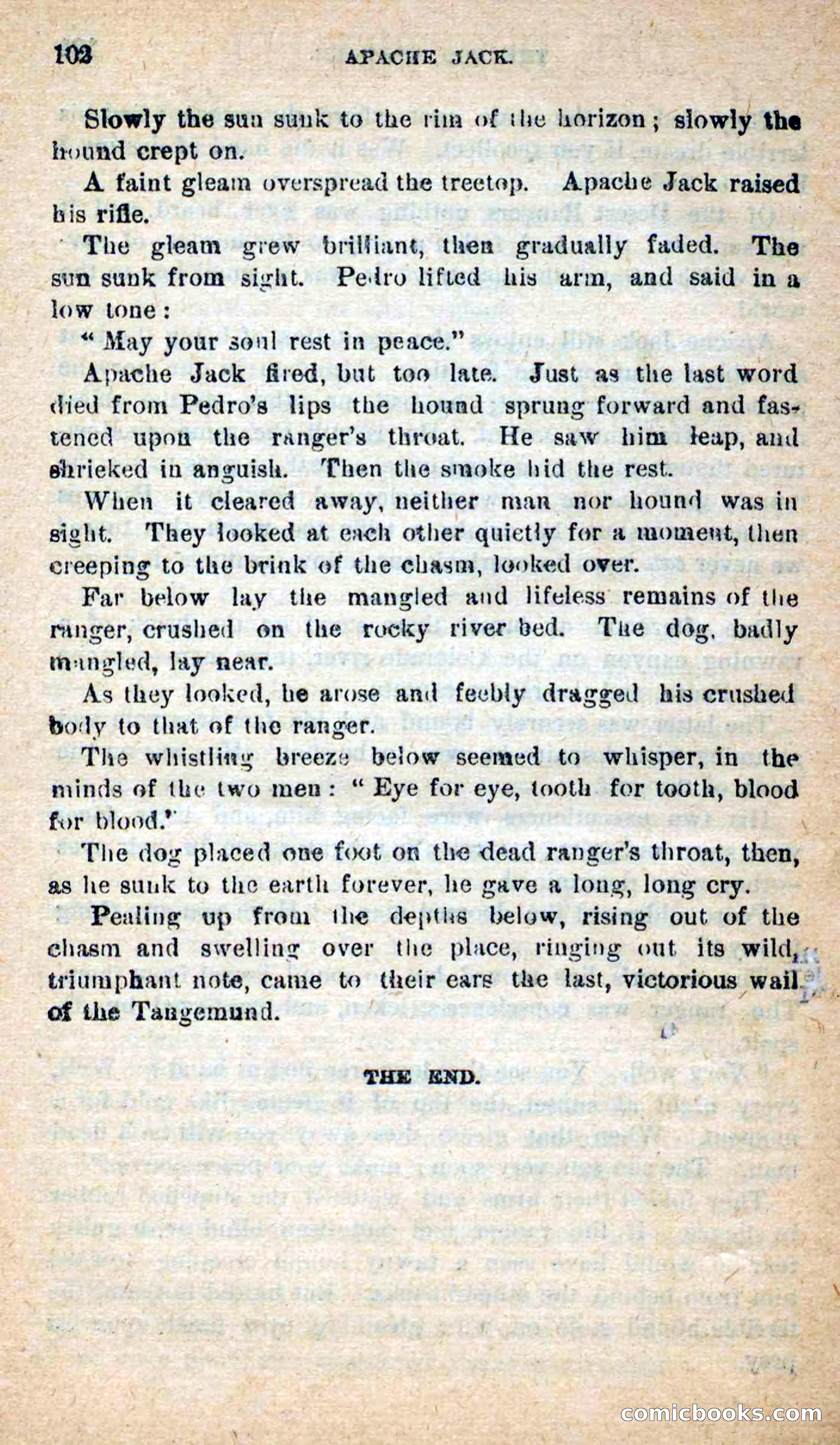 Beadle's New Dime Novels: The Dog Trailer — page 99 of 101
