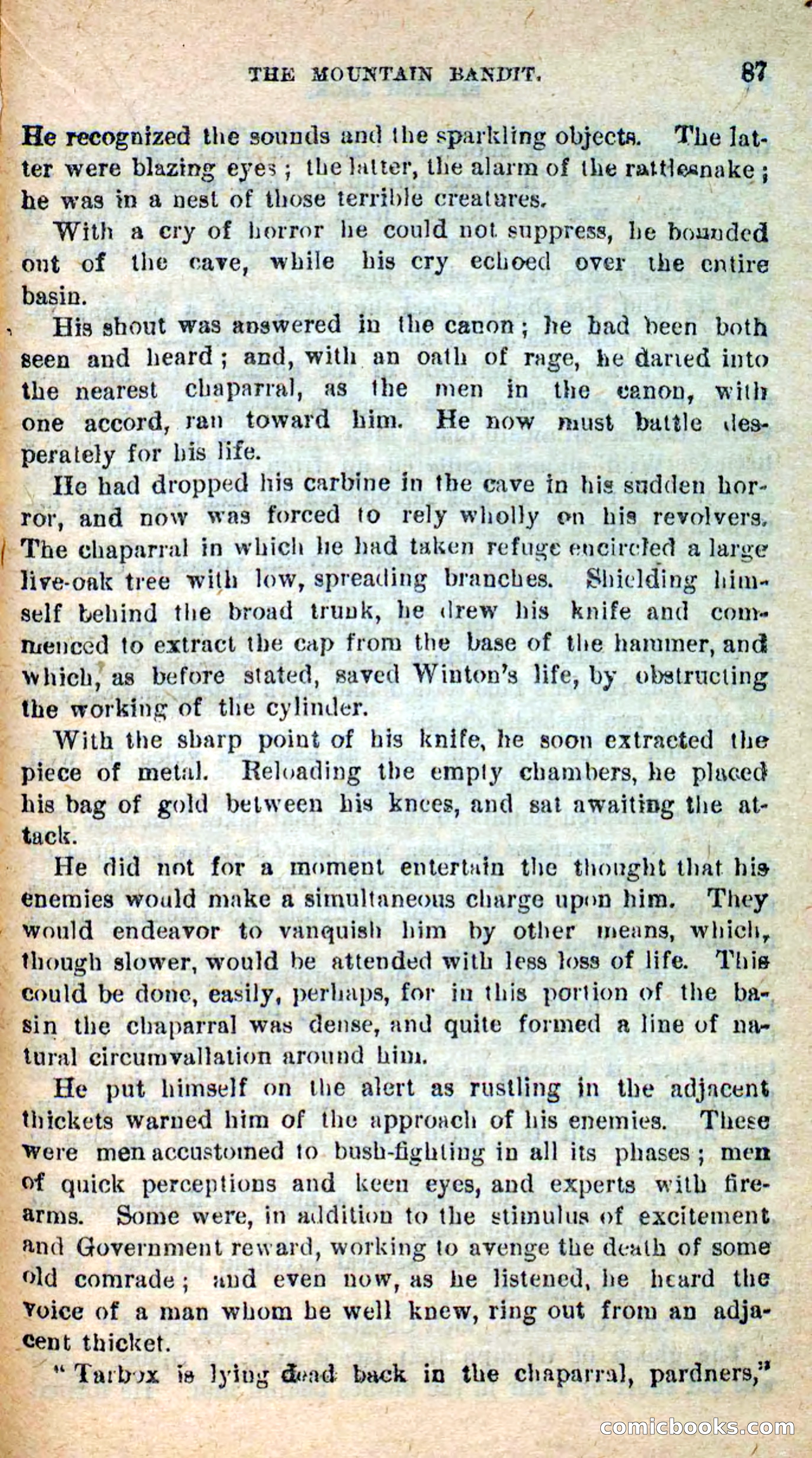 Spanish Jack — page 83 of 100