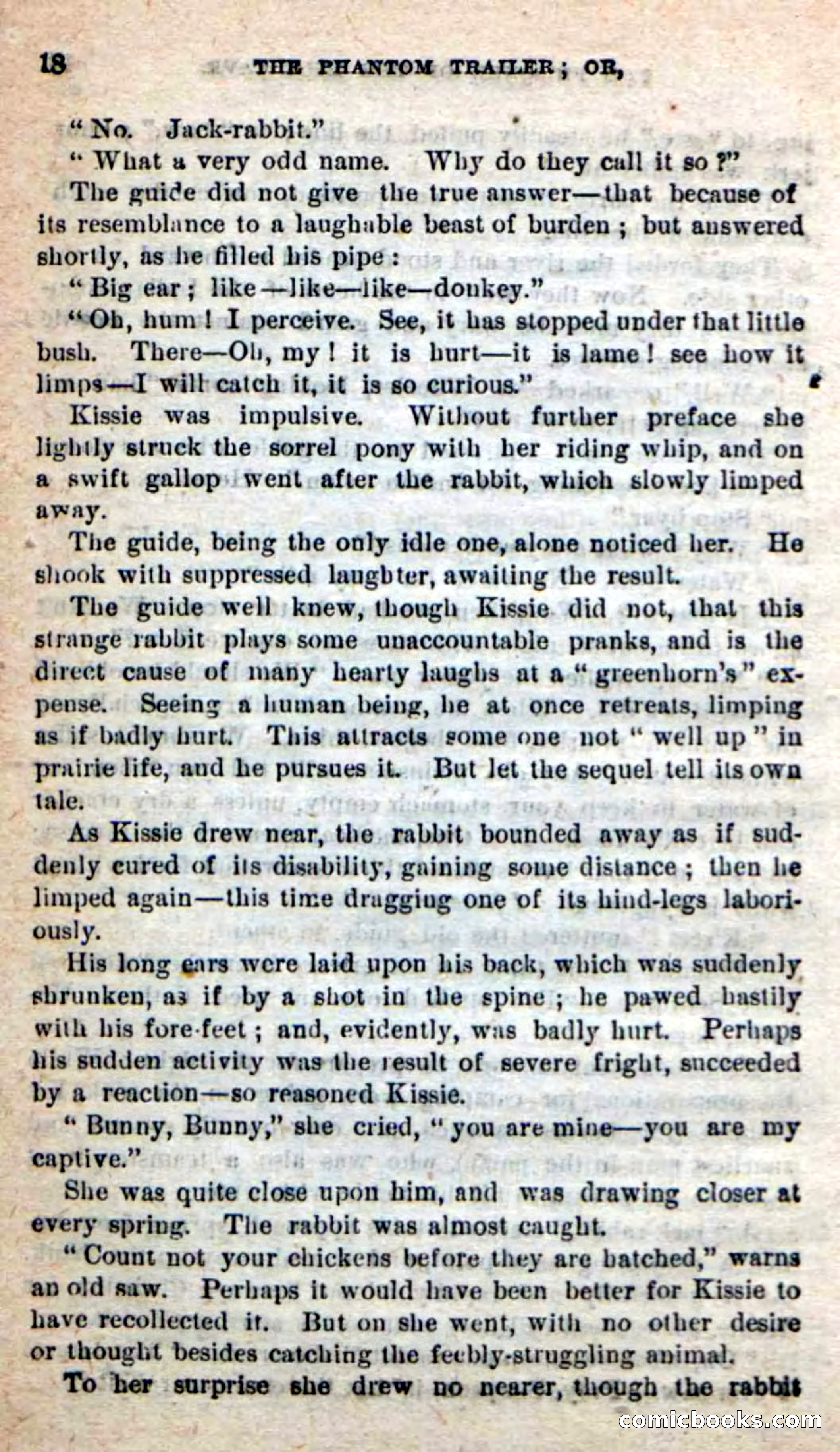 The Phantom Tracker — page 14 of 101