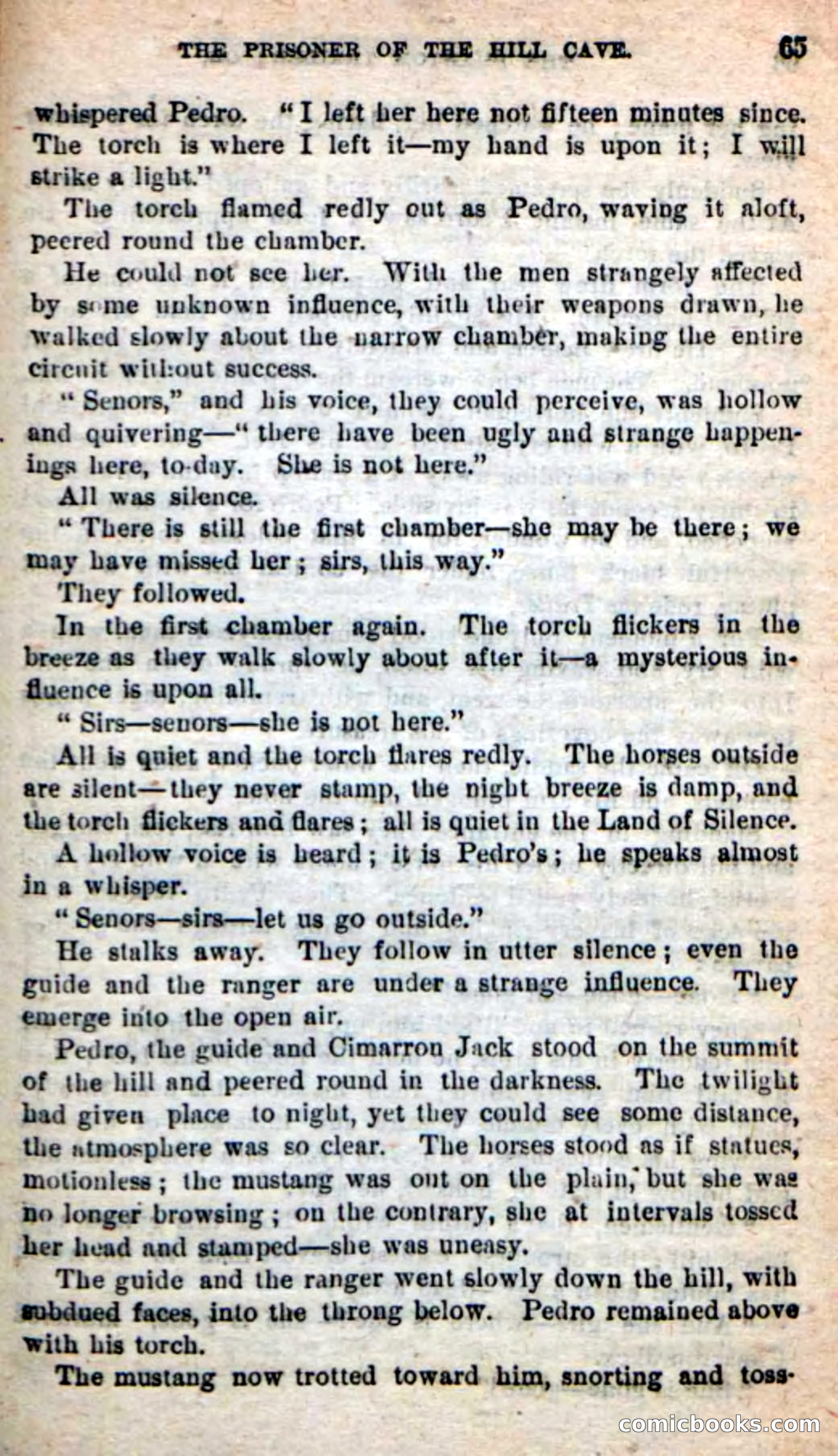 The Phantom Tracker — page 62 of 101