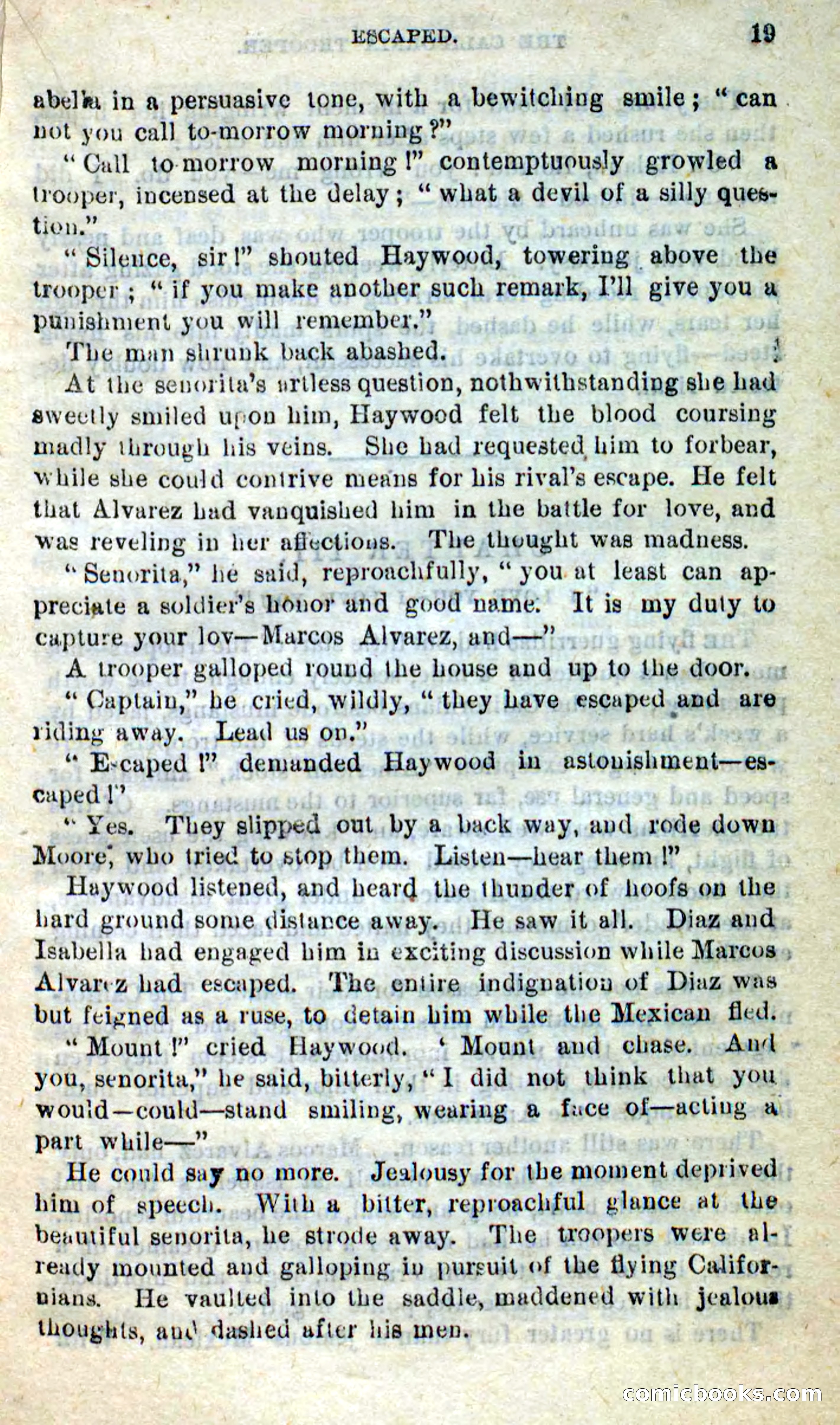 Will-o'-the-Wisp, Beadle's New Dime Novels — page 15 of 98