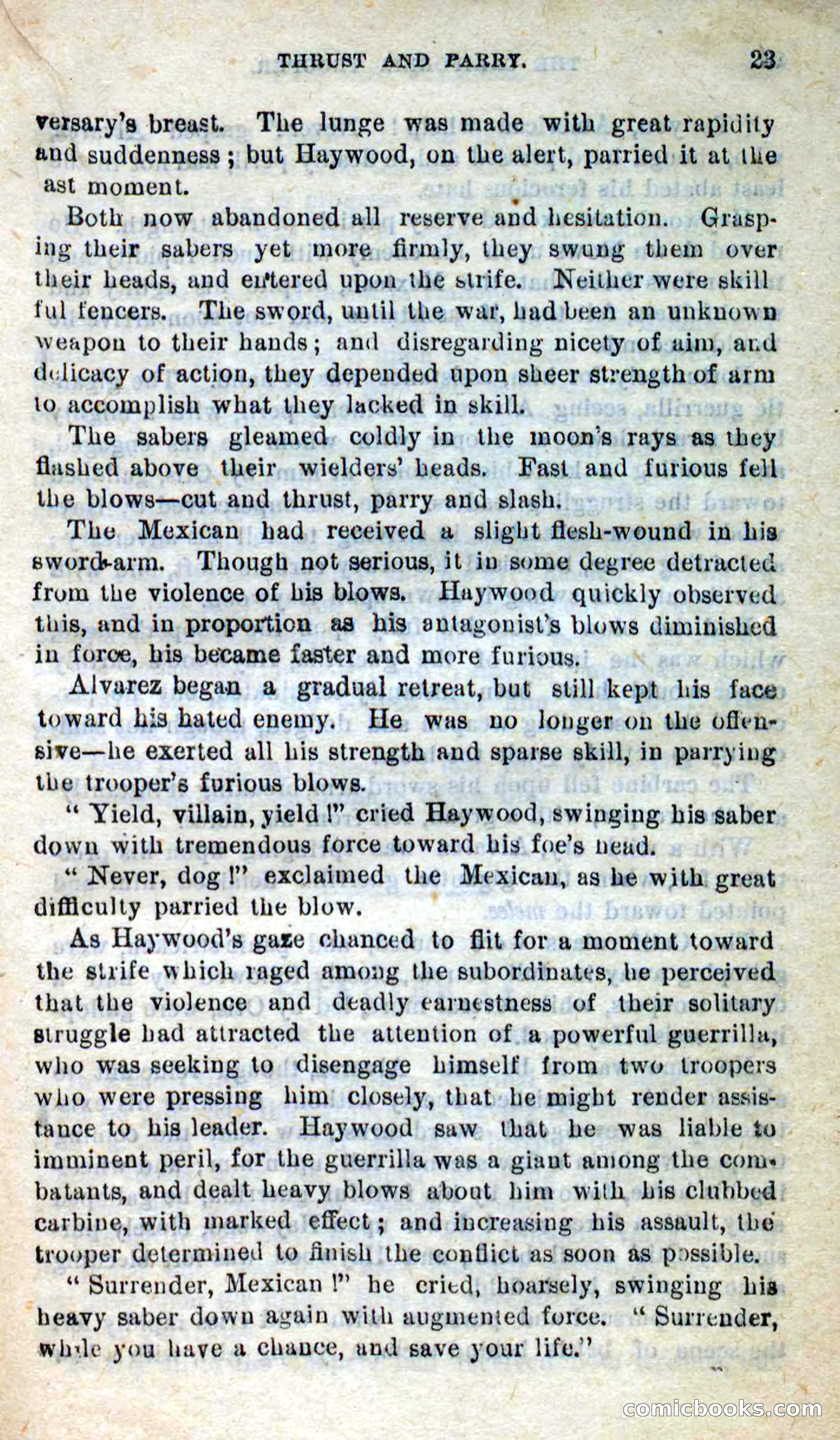 Will-o'-the-Wisp, Beadle's New Dime Novels — page 19 of 98