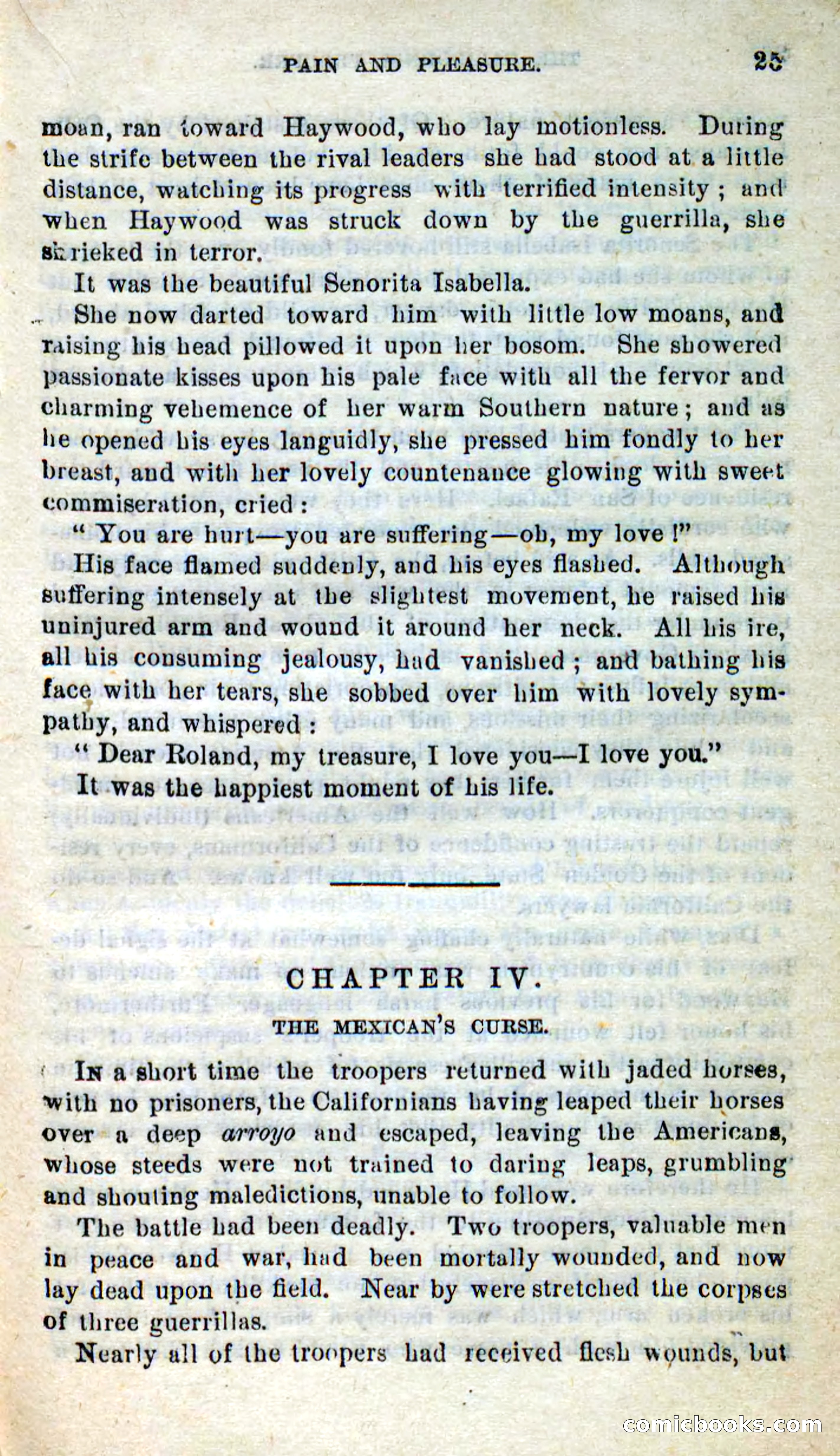 Will-o'-the-Wisp, Beadle's New Dime Novels — page 21 of 98