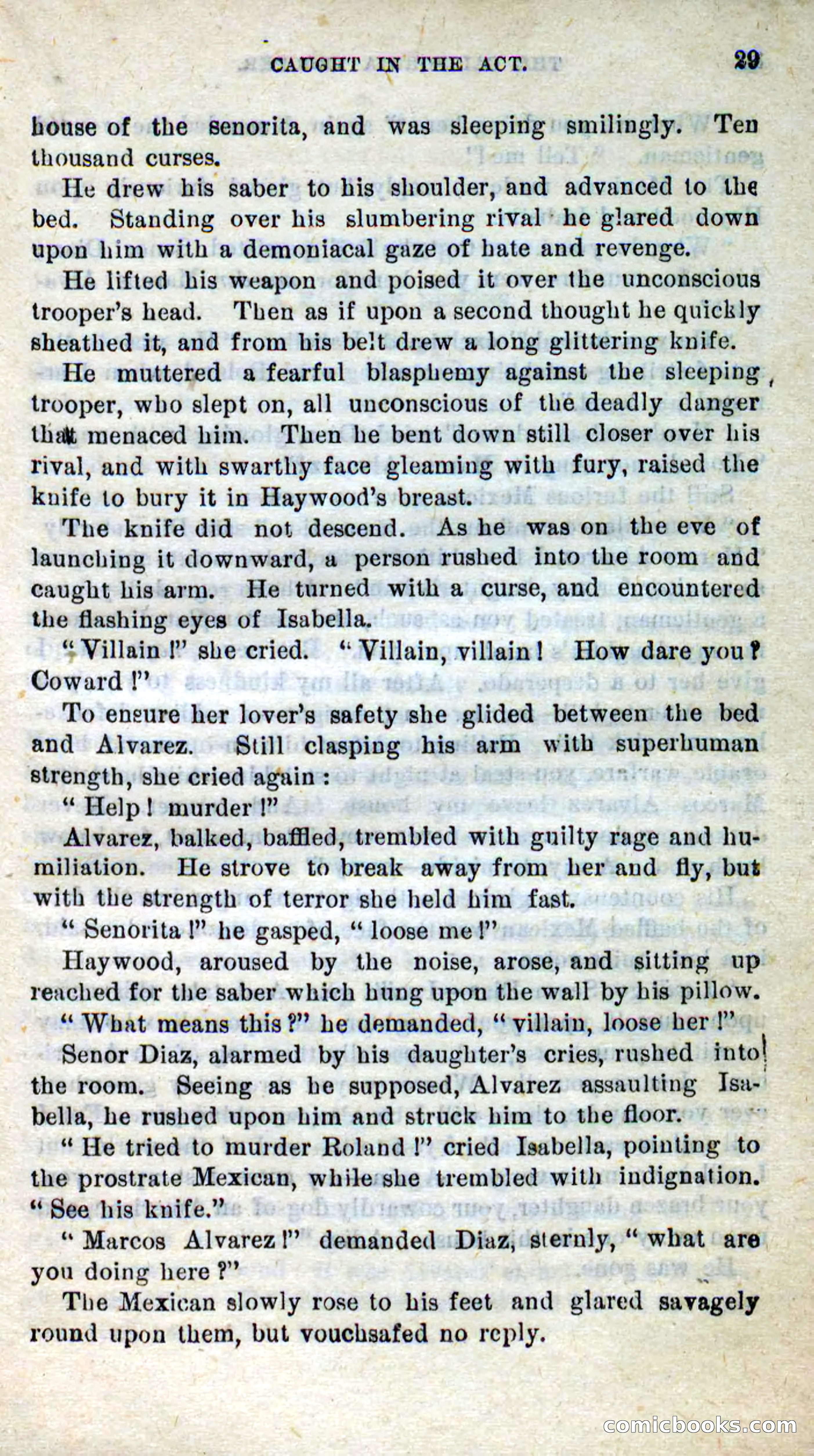 Will-o'-the-Wisp, Beadle's New Dime Novels — page 25 of 98