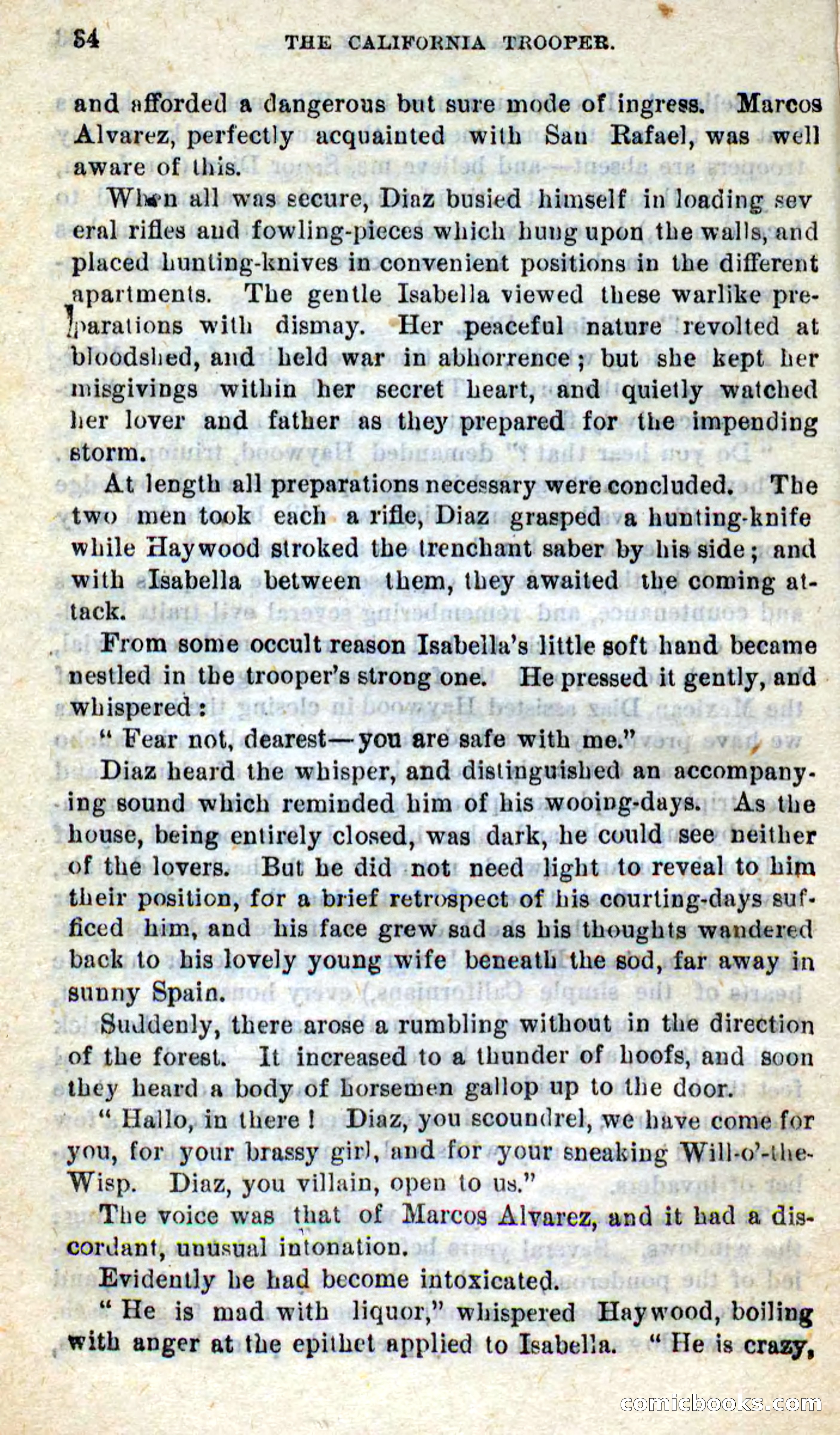 Will-o'-the-Wisp, Beadle's New Dime Novels — page 30 of 98