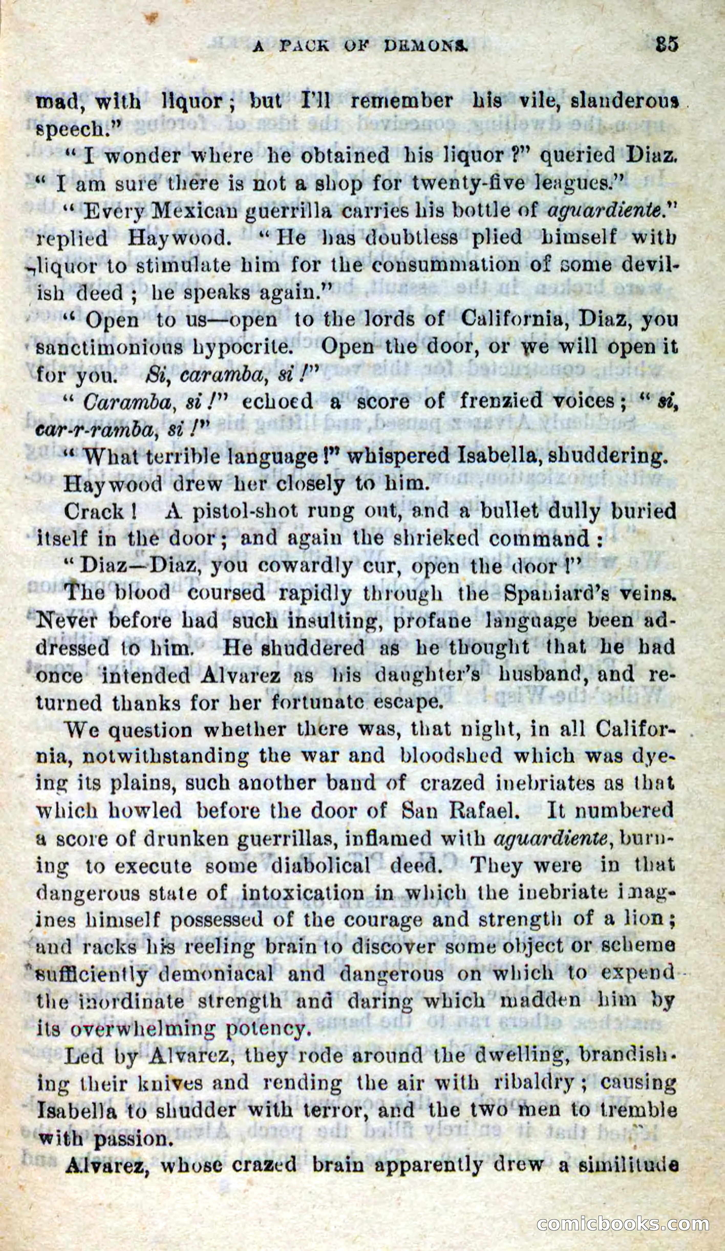 Will-o'-the-Wisp, Beadle's New Dime Novels — page 31 of 98