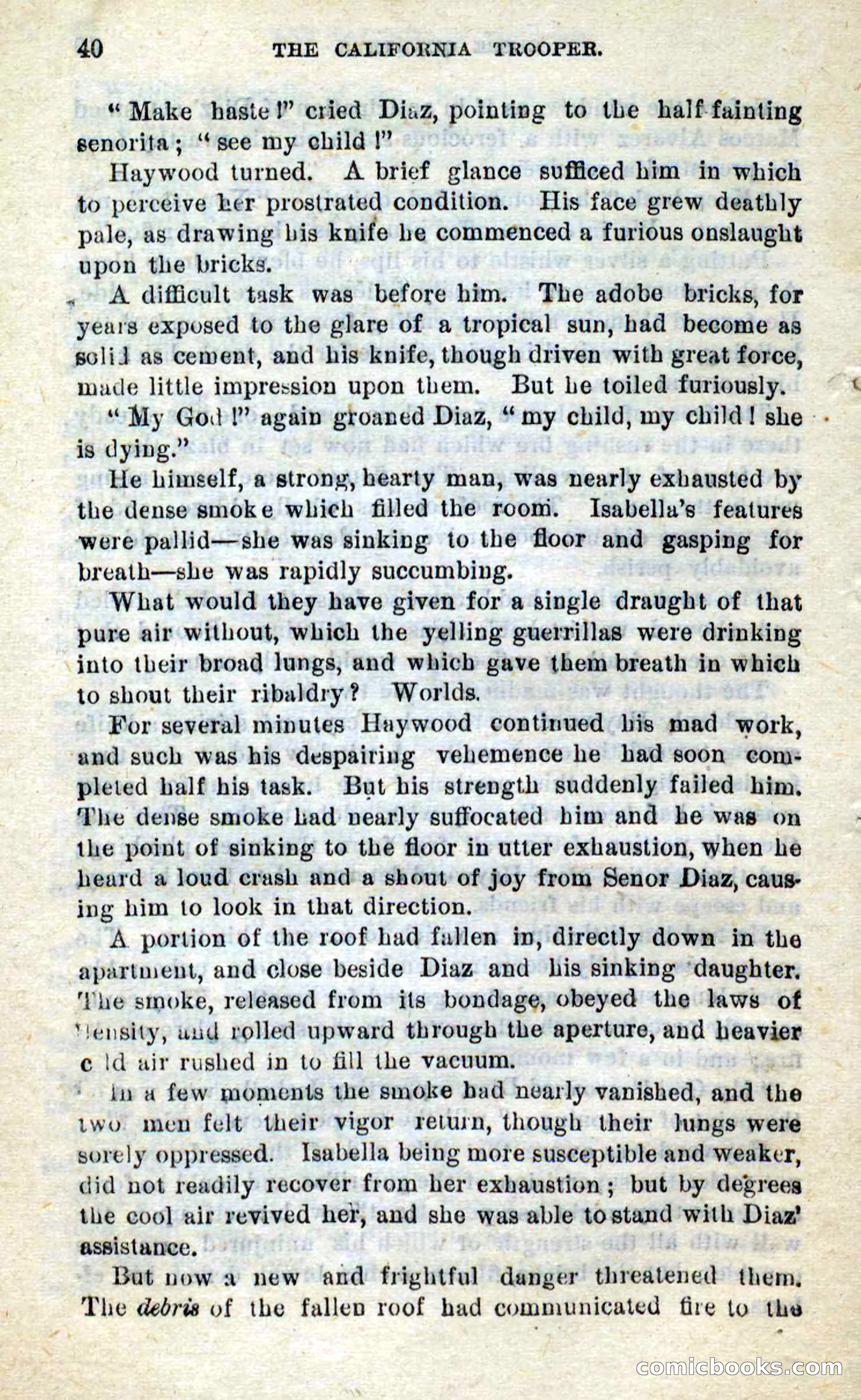 Will-o'-the-Wisp, Beadle's New Dime Novels — page 36 of 98