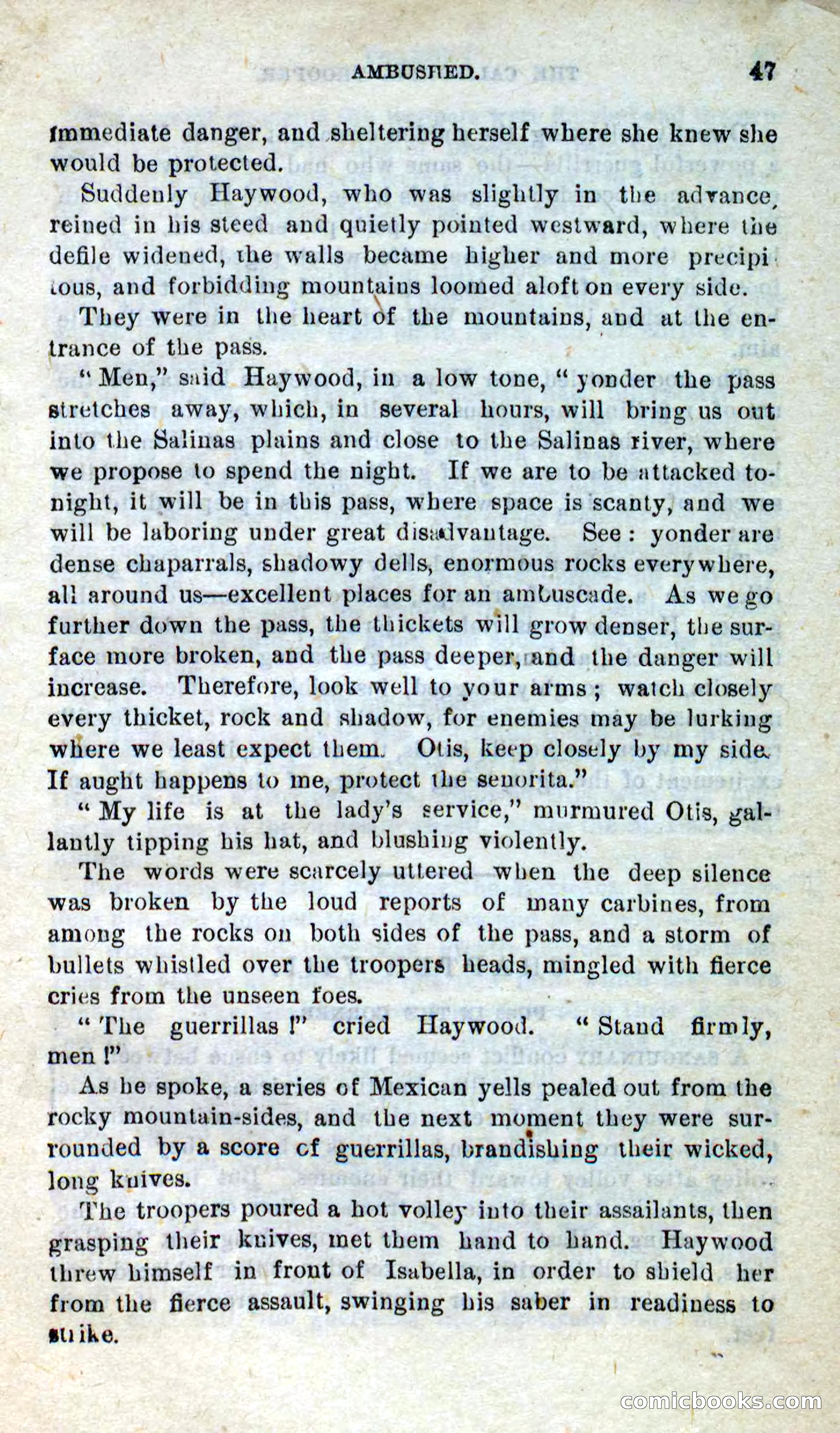 Will-o'-the-Wisp, Beadle's New Dime Novels — page 43 of 98