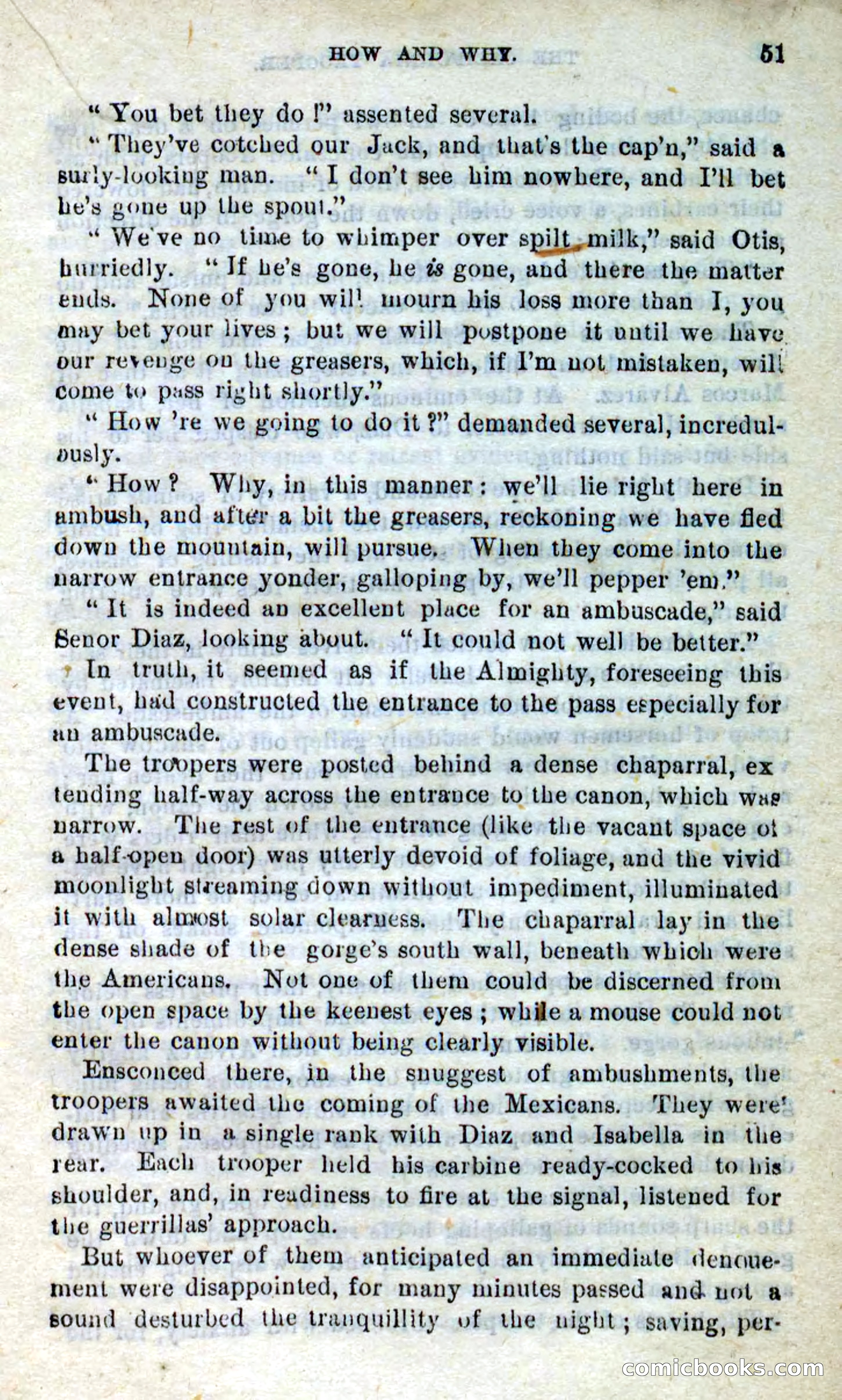 Will-o'-the-Wisp, Beadle's New Dime Novels — page 47 of 98