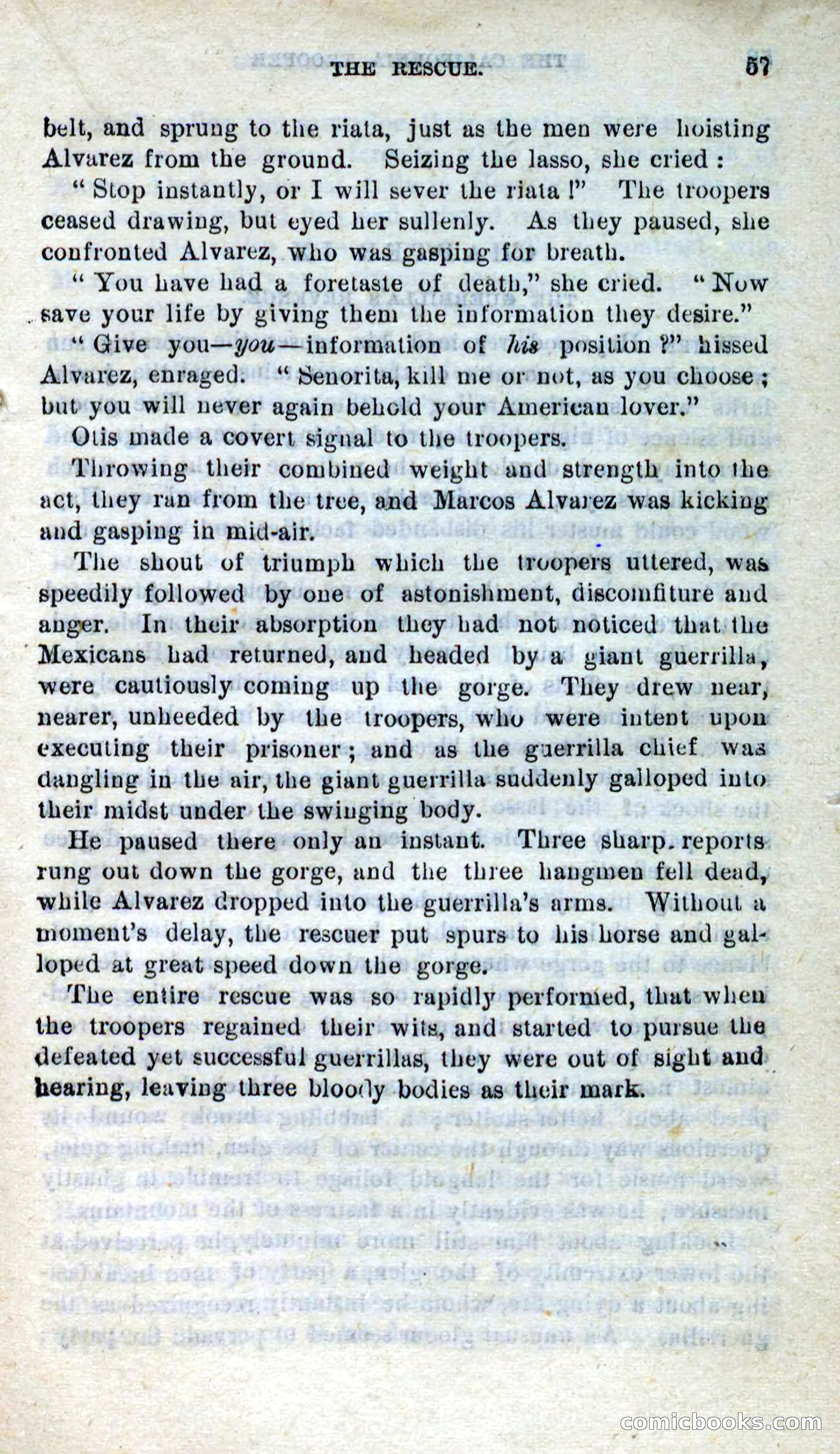 Will-o'-the-Wisp, Beadle's New Dime Novels — page 53 of 98