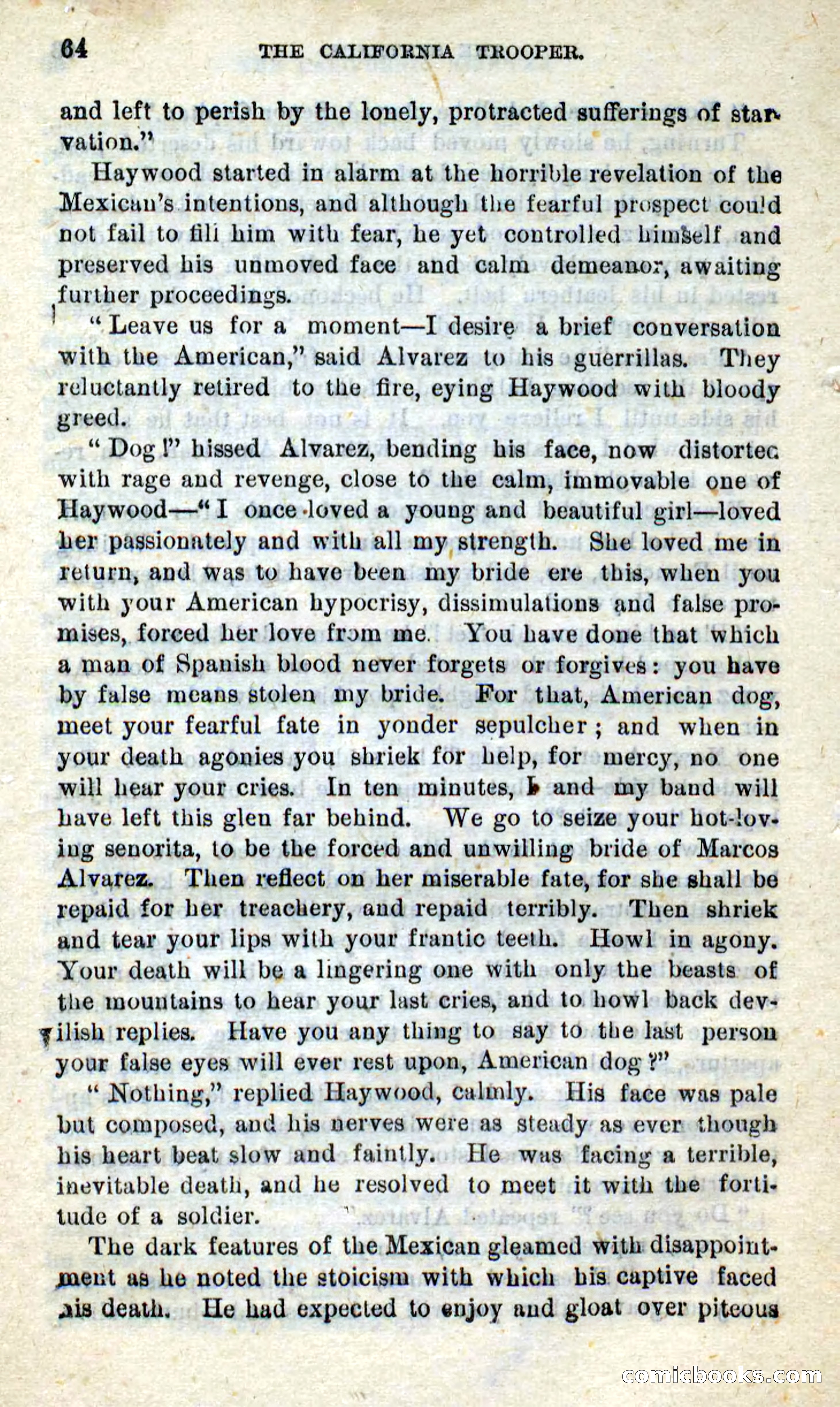 Will-o'-the-Wisp, Beadle's New Dime Novels — page 60 of 98