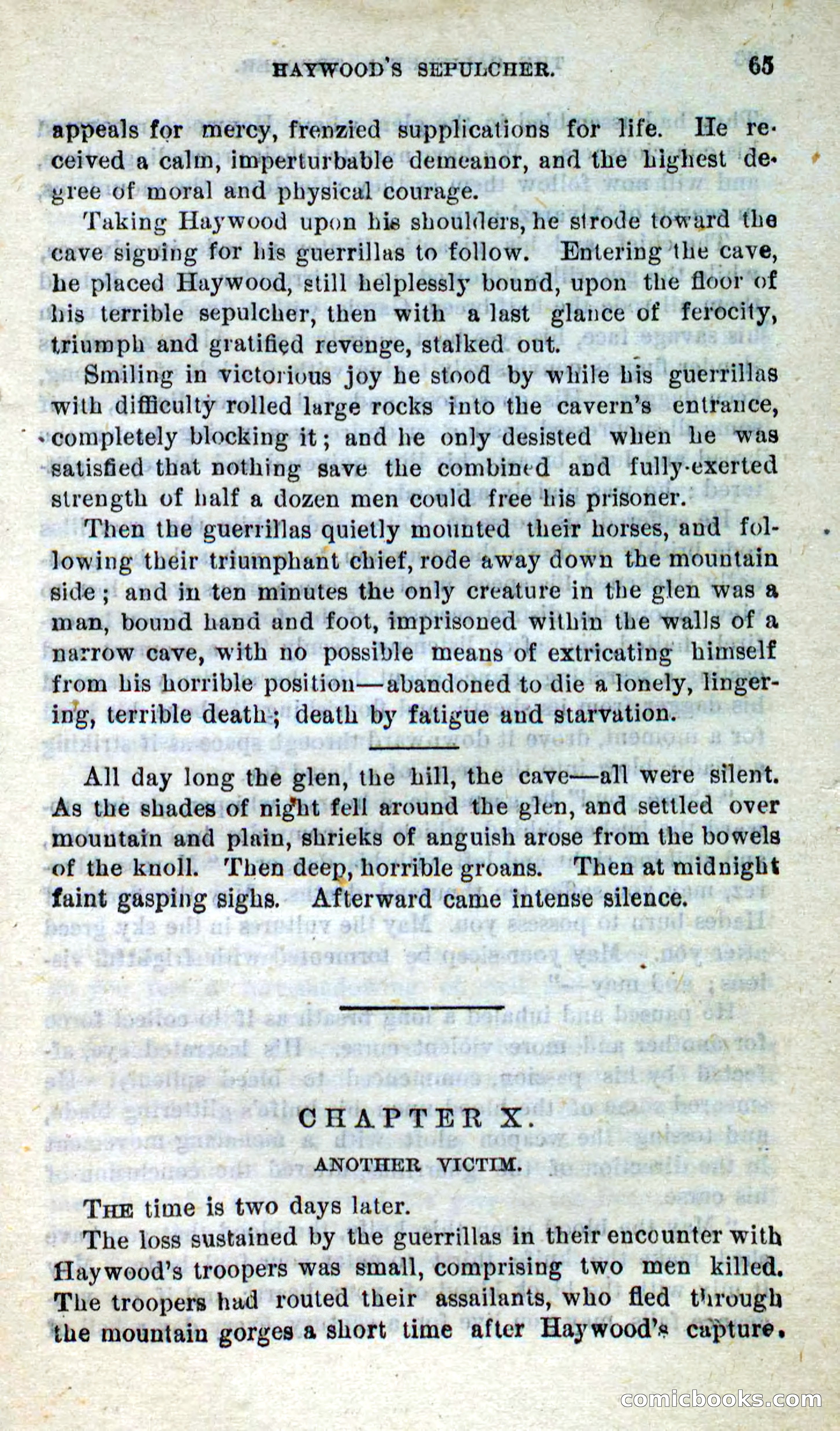 Will-o'-the-Wisp, Beadle's New Dime Novels — page 61 of 98