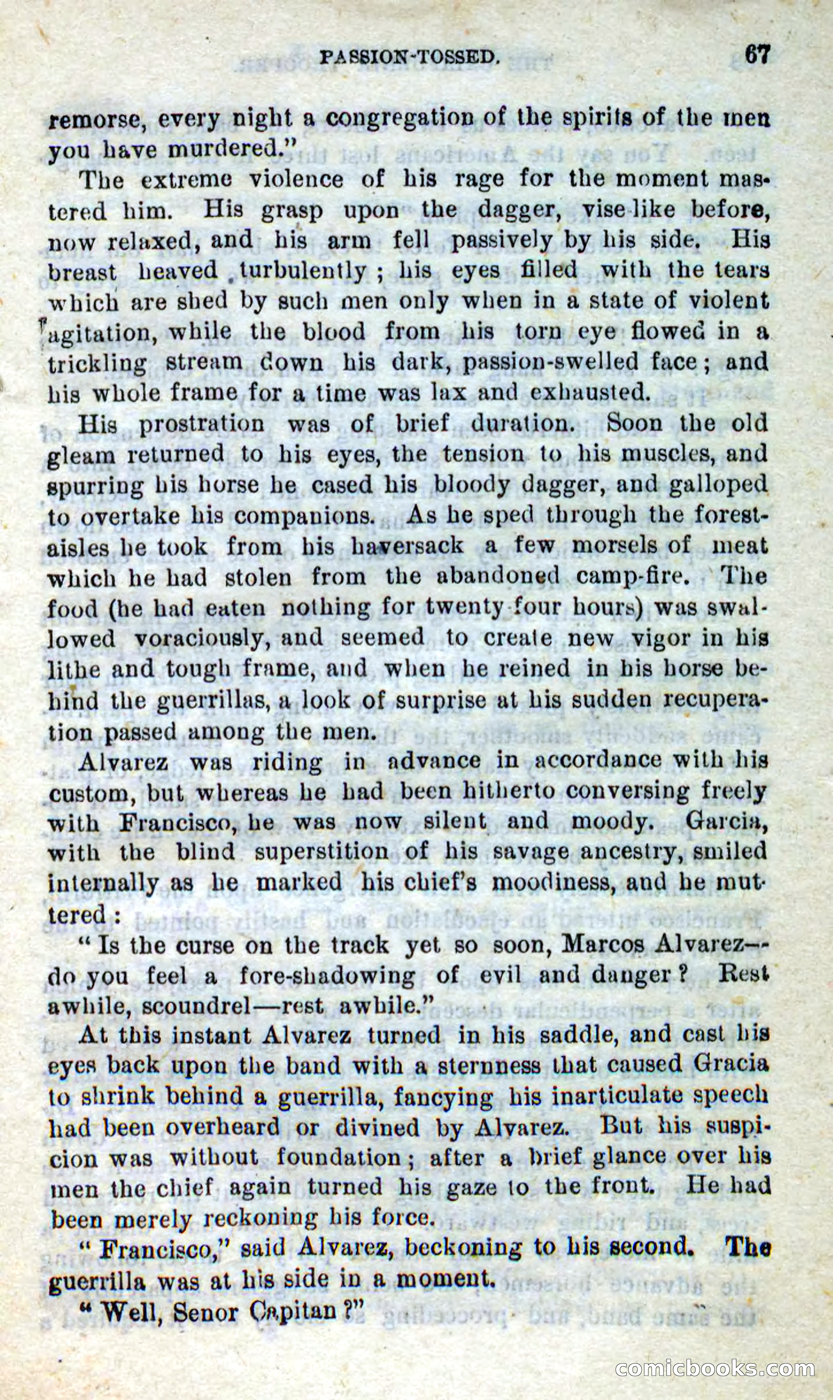 Will-o'-the-Wisp, Beadle's New Dime Novels — page 63 of 98