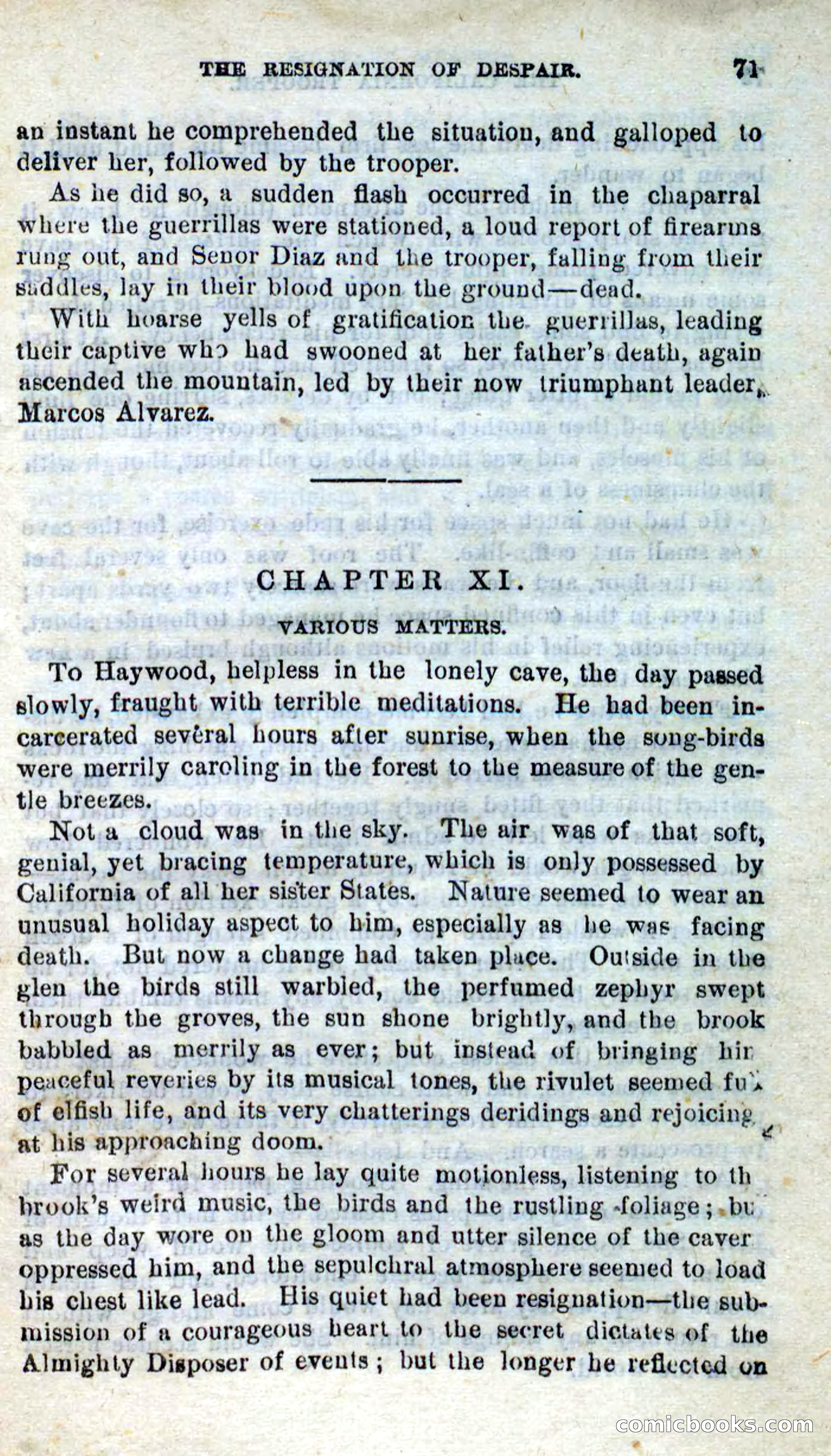 Will-o'-the-Wisp, Beadle's New Dime Novels — page 67 of 98