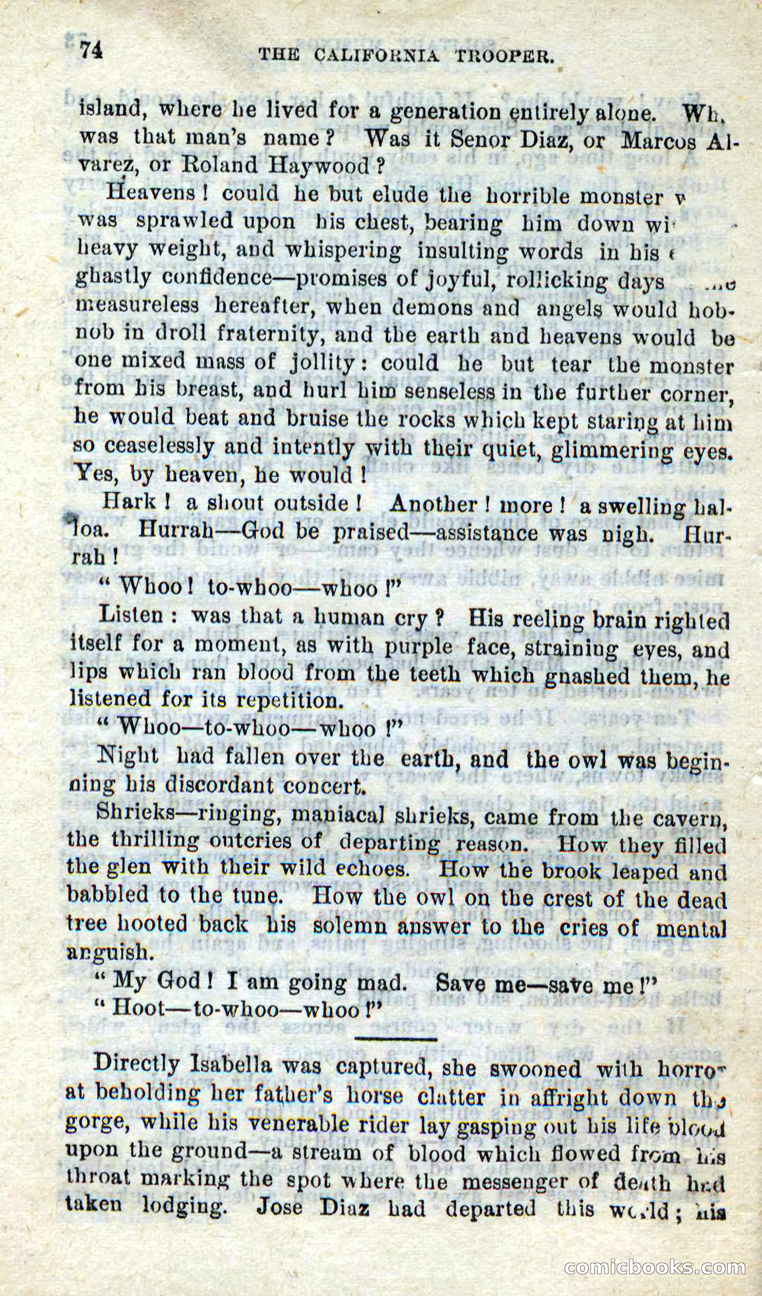 Will-o'-the-Wisp, Beadle's New Dime Novels — page 70 of 98