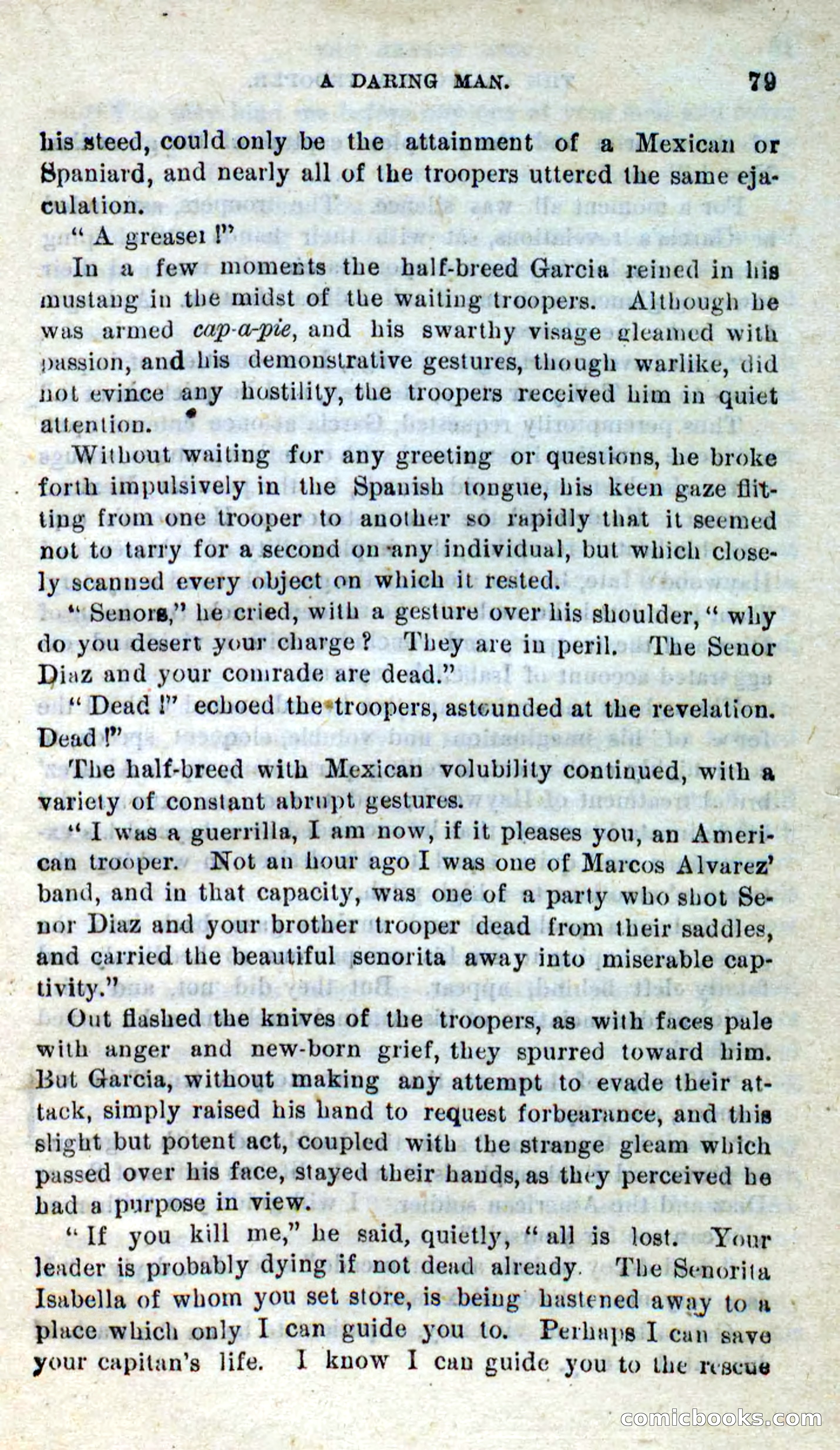 Will-o'-the-Wisp, Beadle's New Dime Novels — page 75 of 98