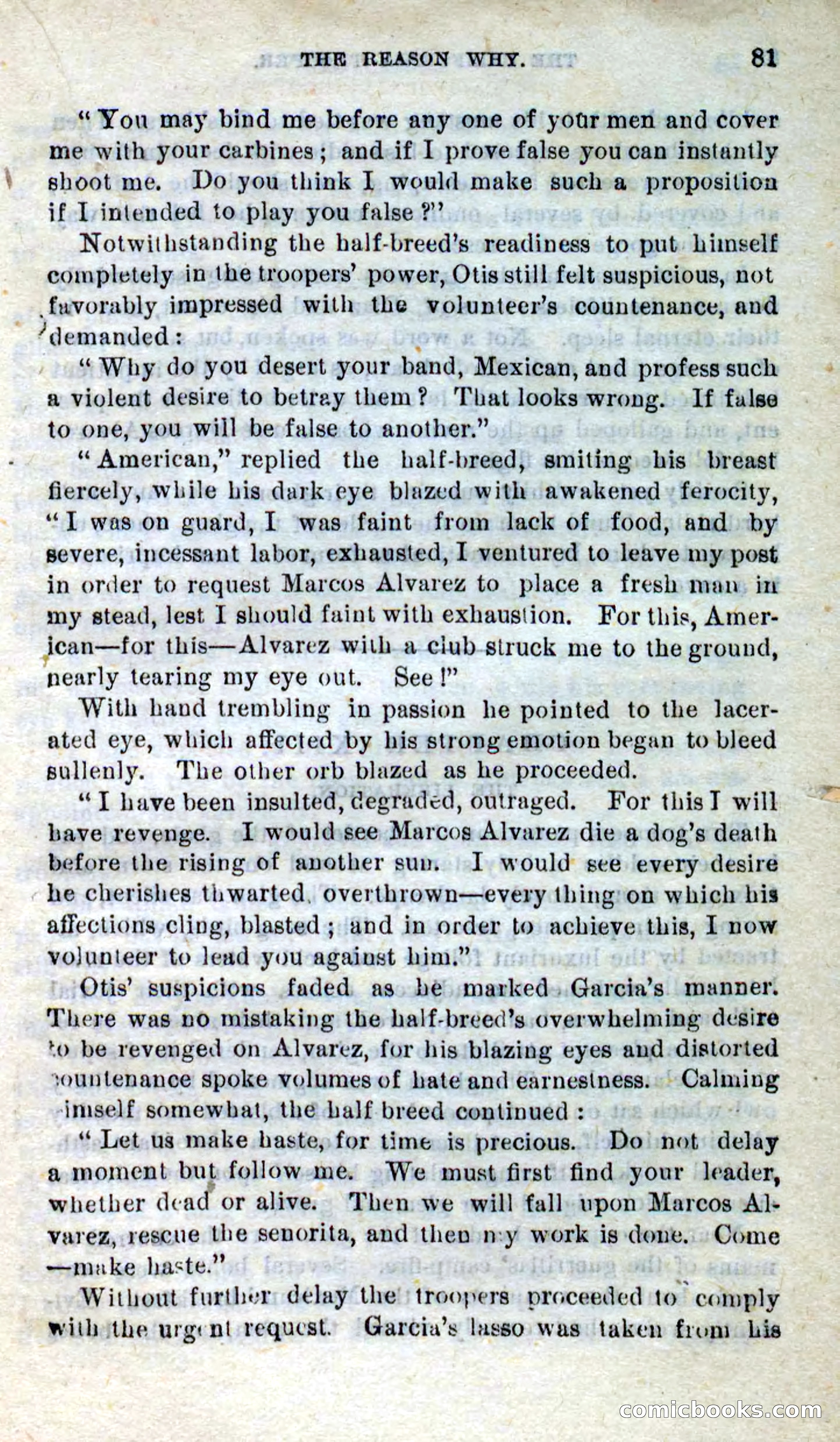 Will-o'-the-Wisp, Beadle's New Dime Novels — page 77 of 98