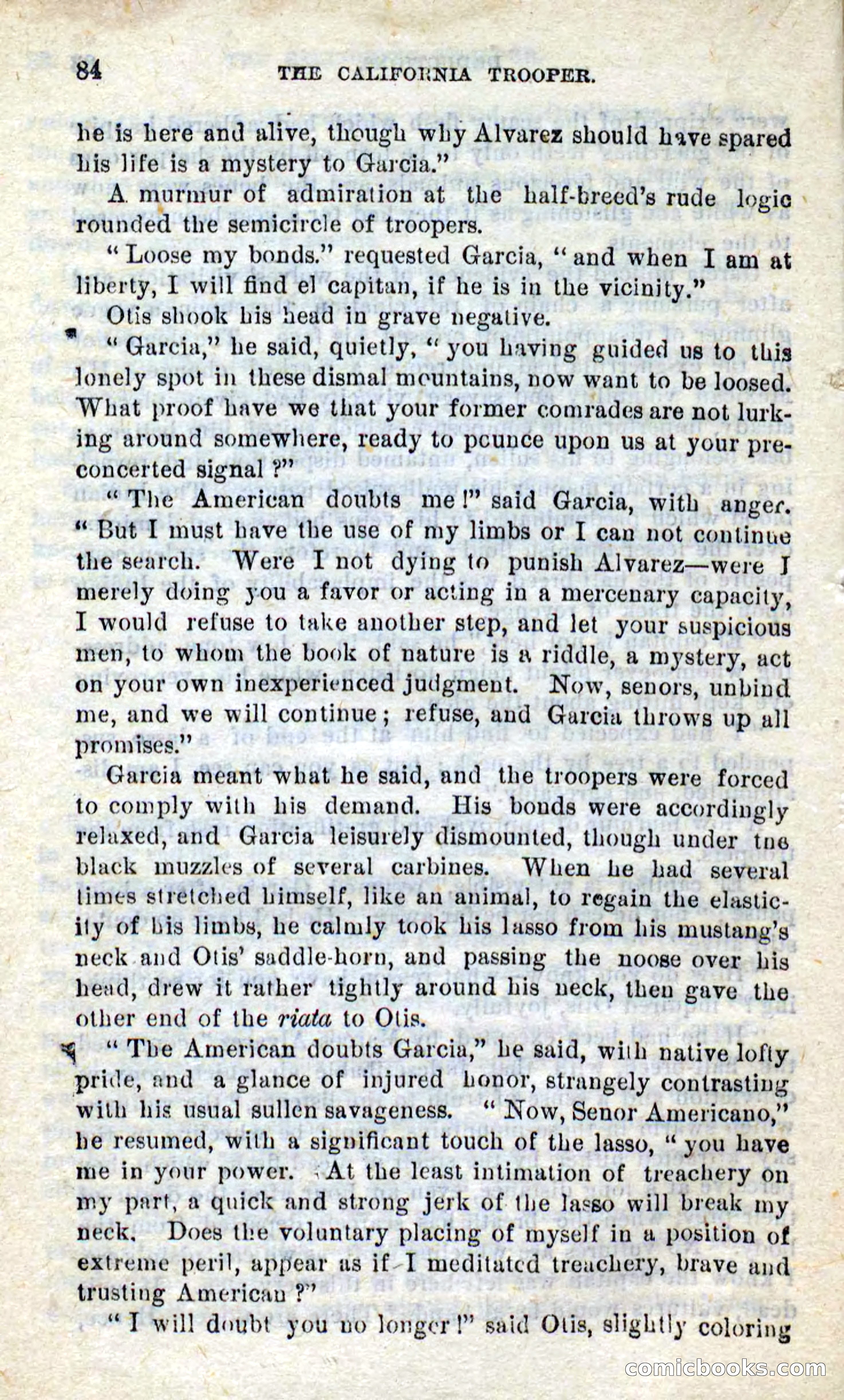 Will-o'-the-Wisp, Beadle's New Dime Novels — page 80 of 98