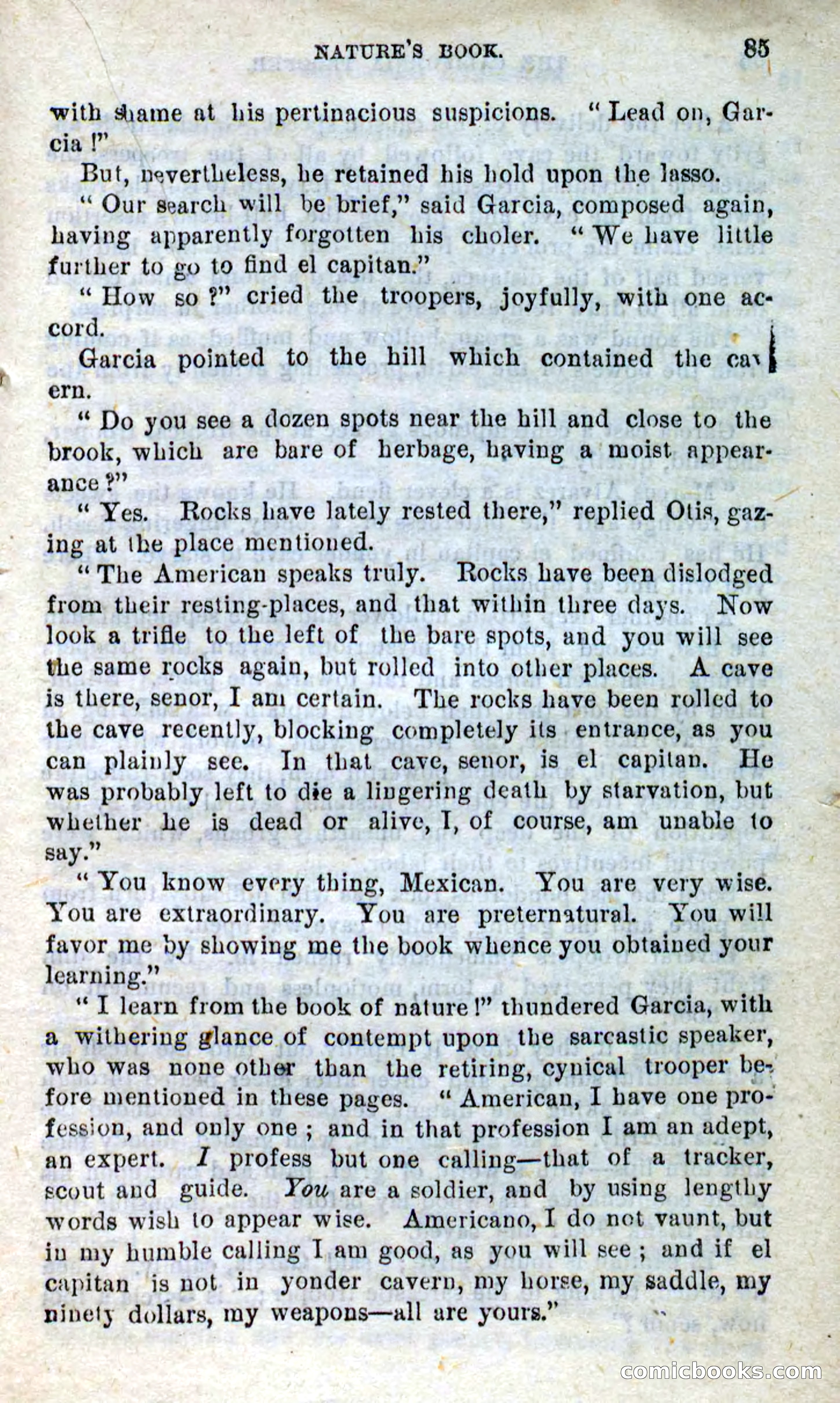 Will-o'-the-Wisp, Beadle's New Dime Novels — page 81 of 98