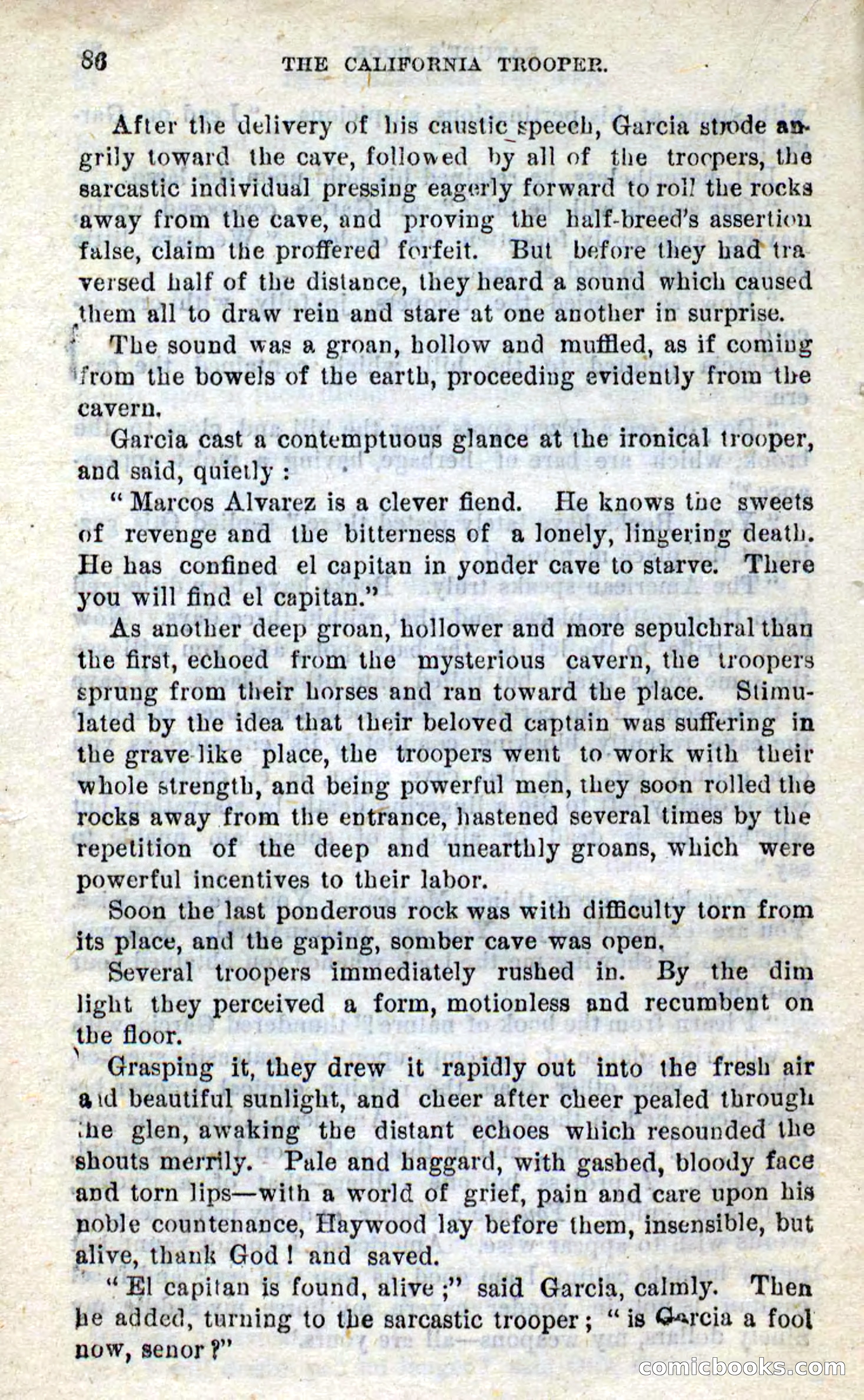 Will-o'-the-Wisp, Beadle's New Dime Novels — page 82 of 98