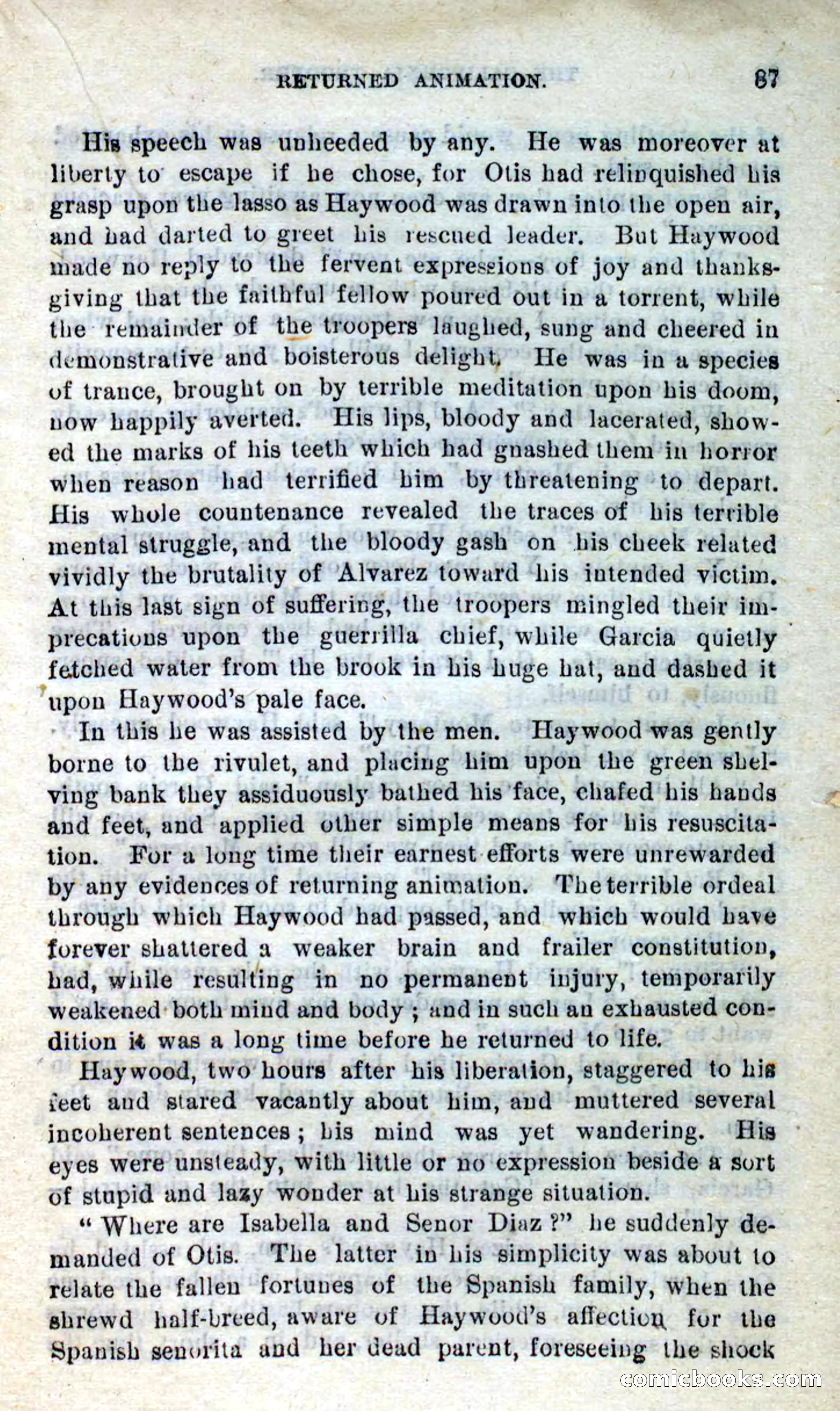 Will-o'-the-Wisp, Beadle's New Dime Novels — page 83 of 98