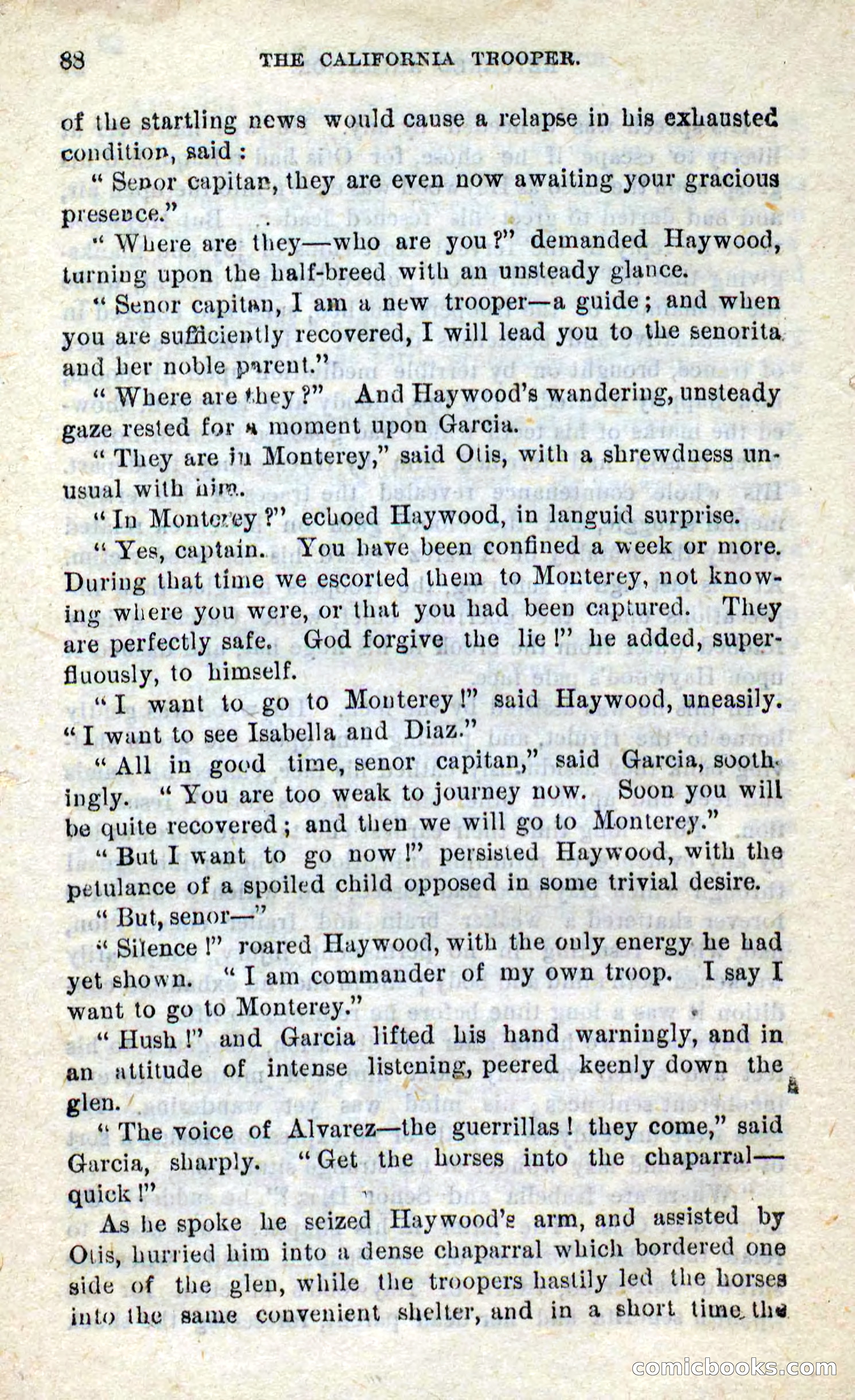 Will-o'-the-Wisp, Beadle's New Dime Novels — page 84 of 98