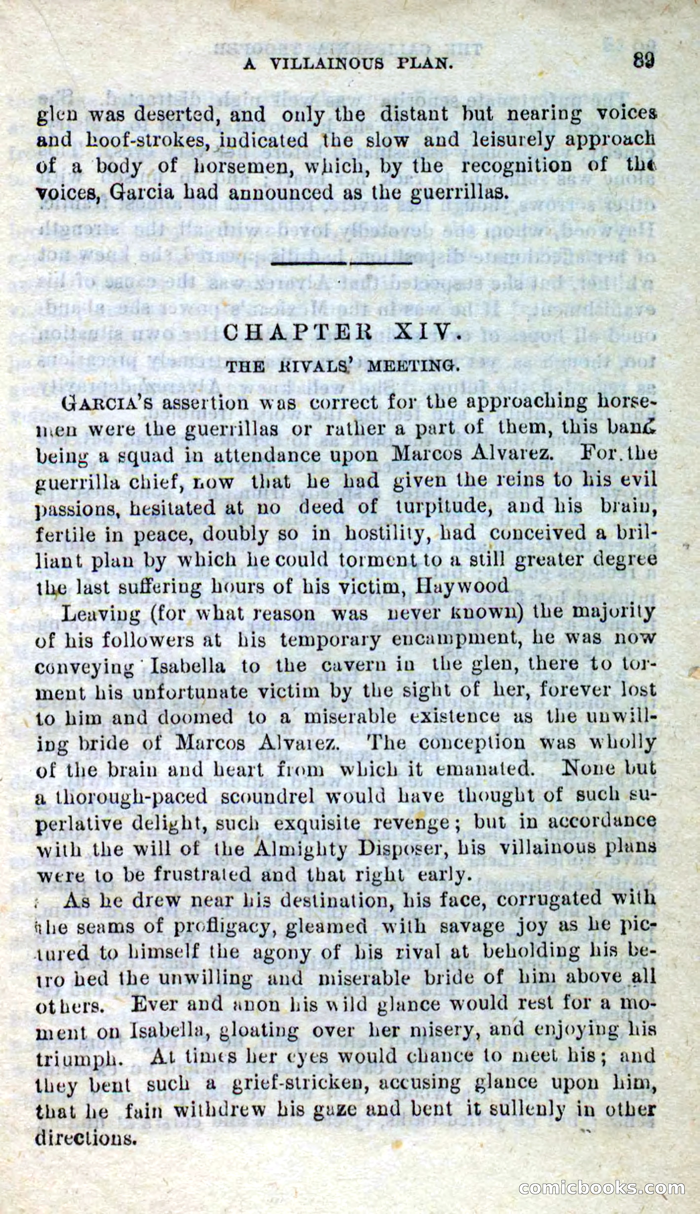 Will-o'-the-Wisp, Beadle's New Dime Novels — page 85 of 98