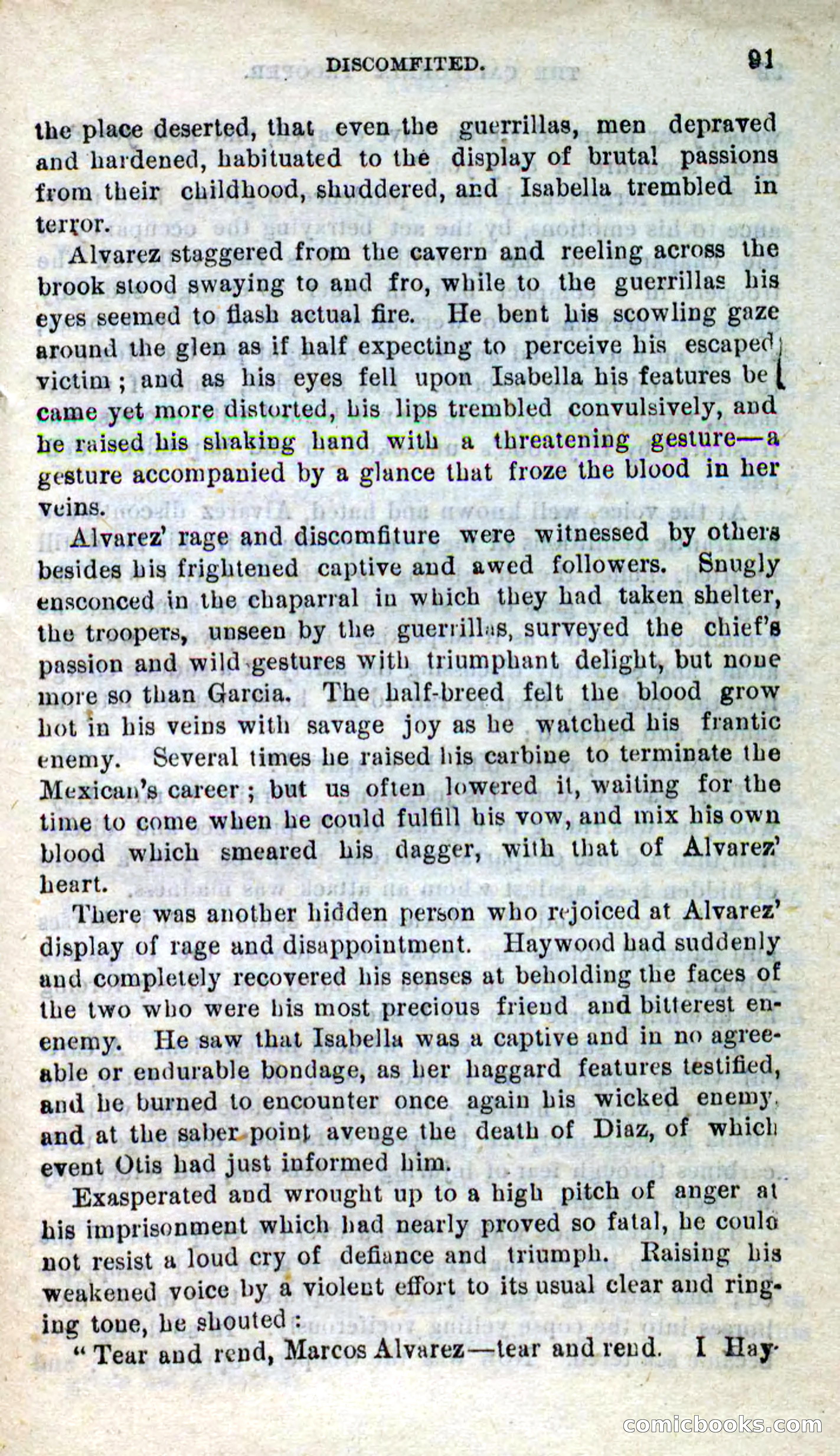 Will-o'-the-Wisp, Beadle's New Dime Novels — page 87 of 98