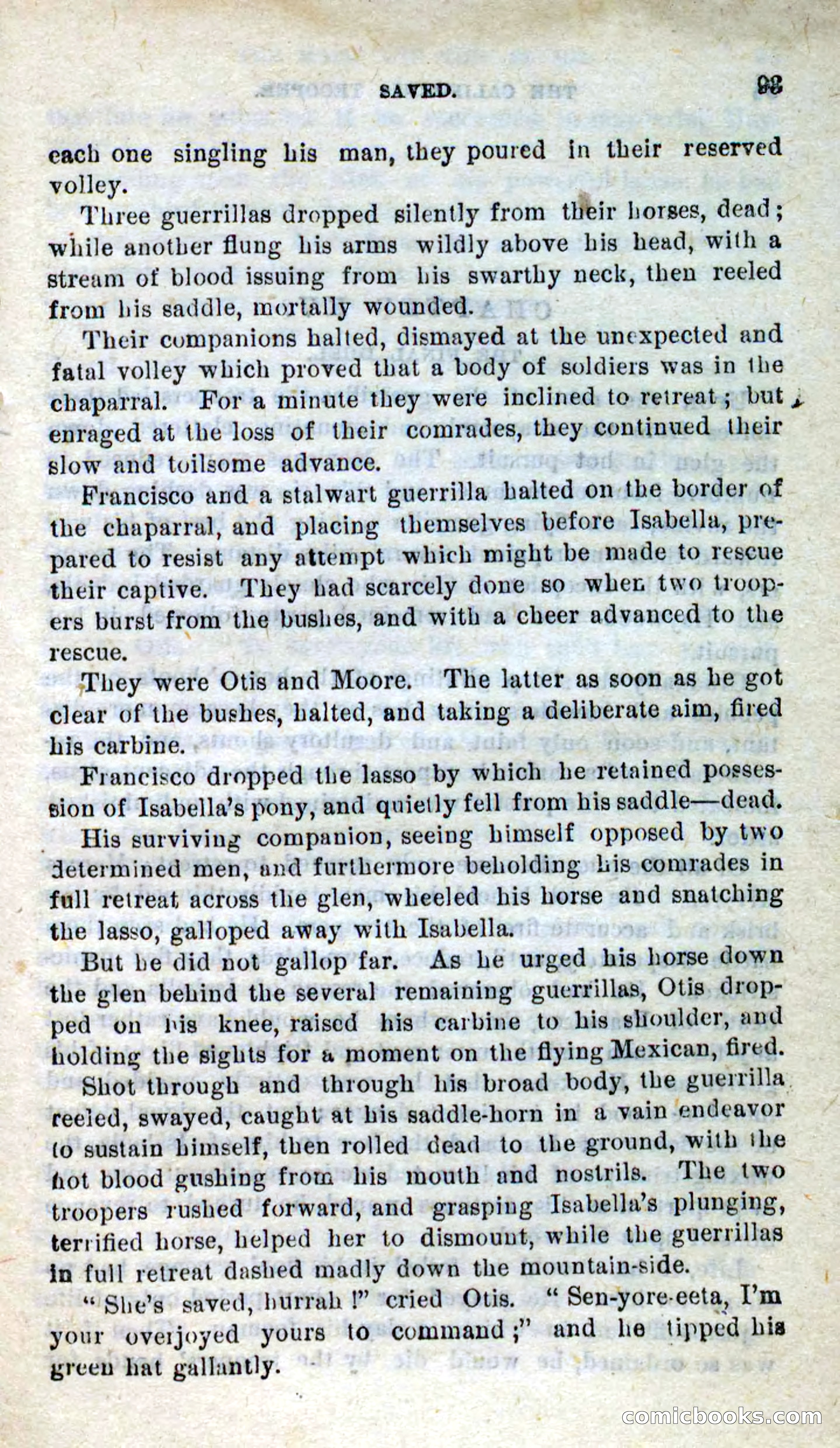 Will-o'-the-Wisp, Beadle's New Dime Novels — page 89 of 98