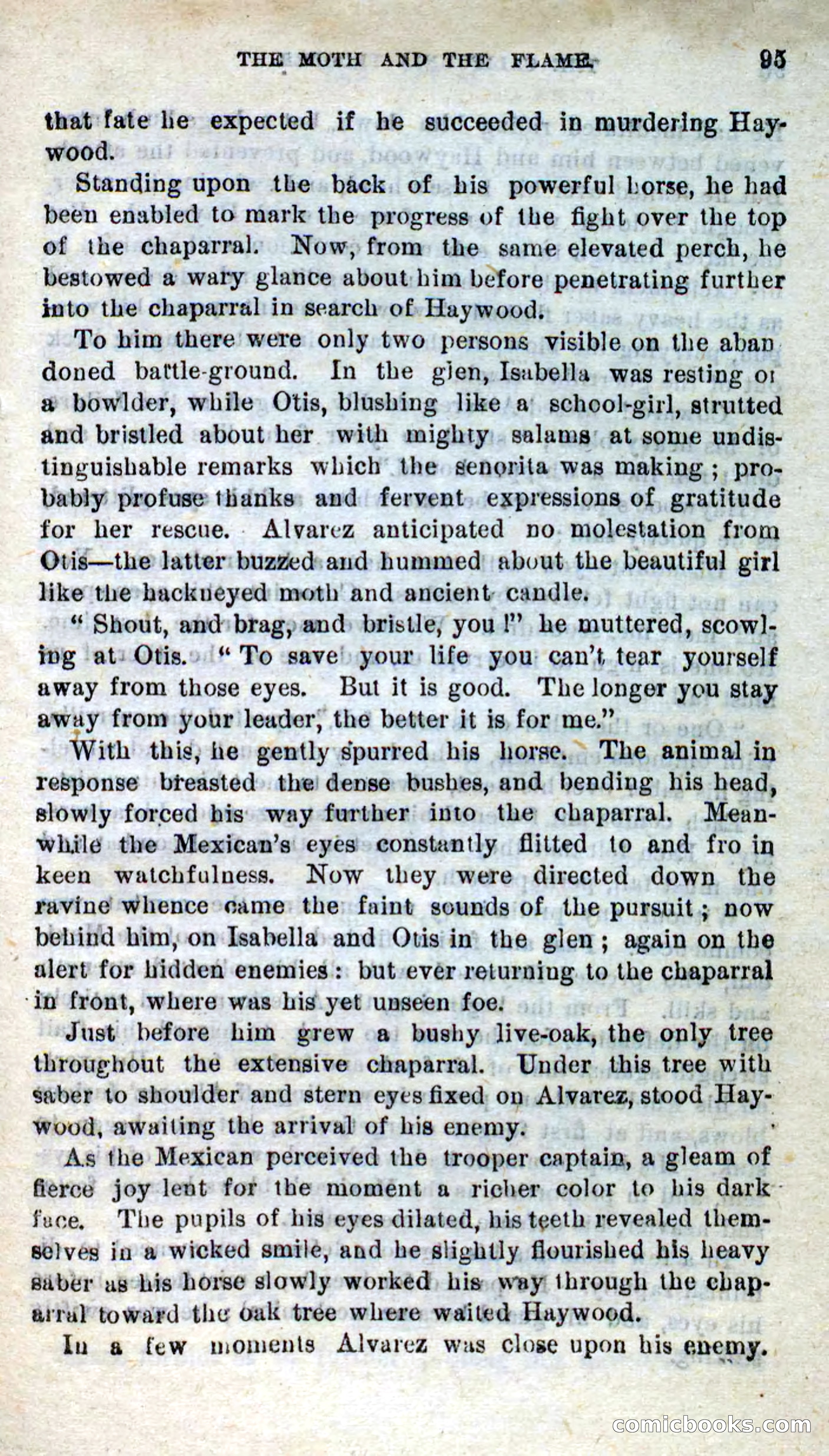 Will-o'-the-Wisp, Beadle's New Dime Novels — page 91 of 98