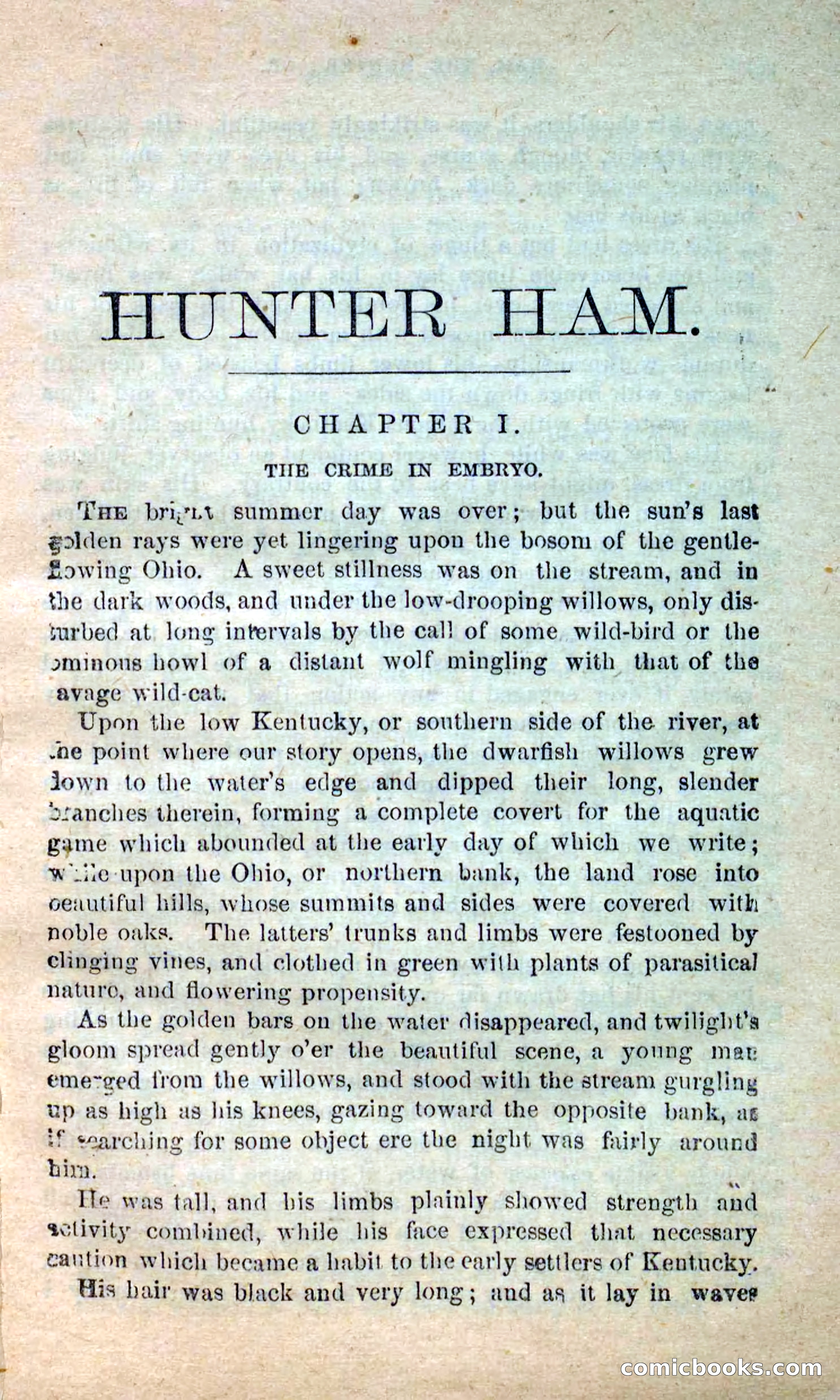 Beadle's New Dime Novels: Hunter Ham — page 5 of 101