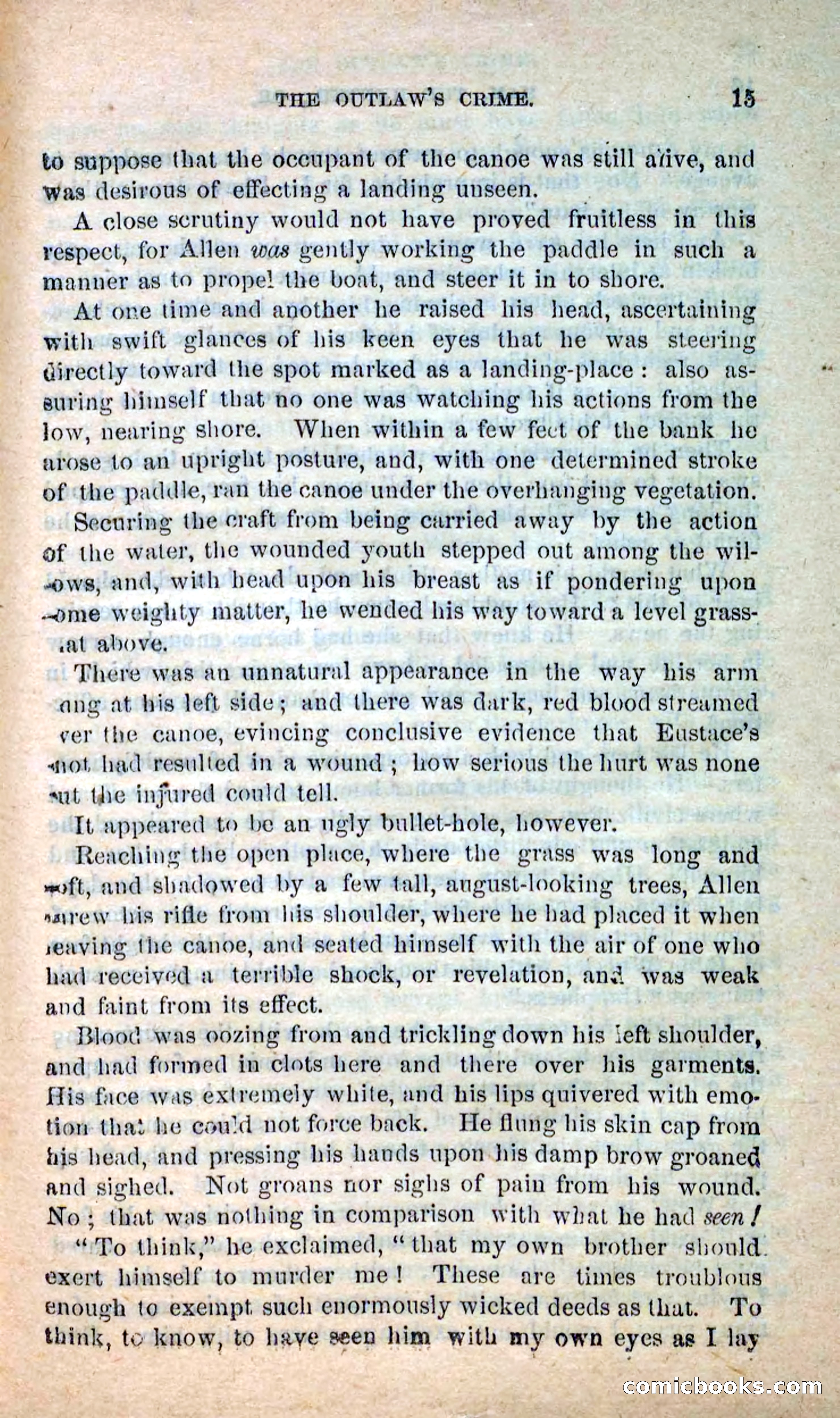 Beadle's New Dime Novels: Hunter Ham — page 11 of 101