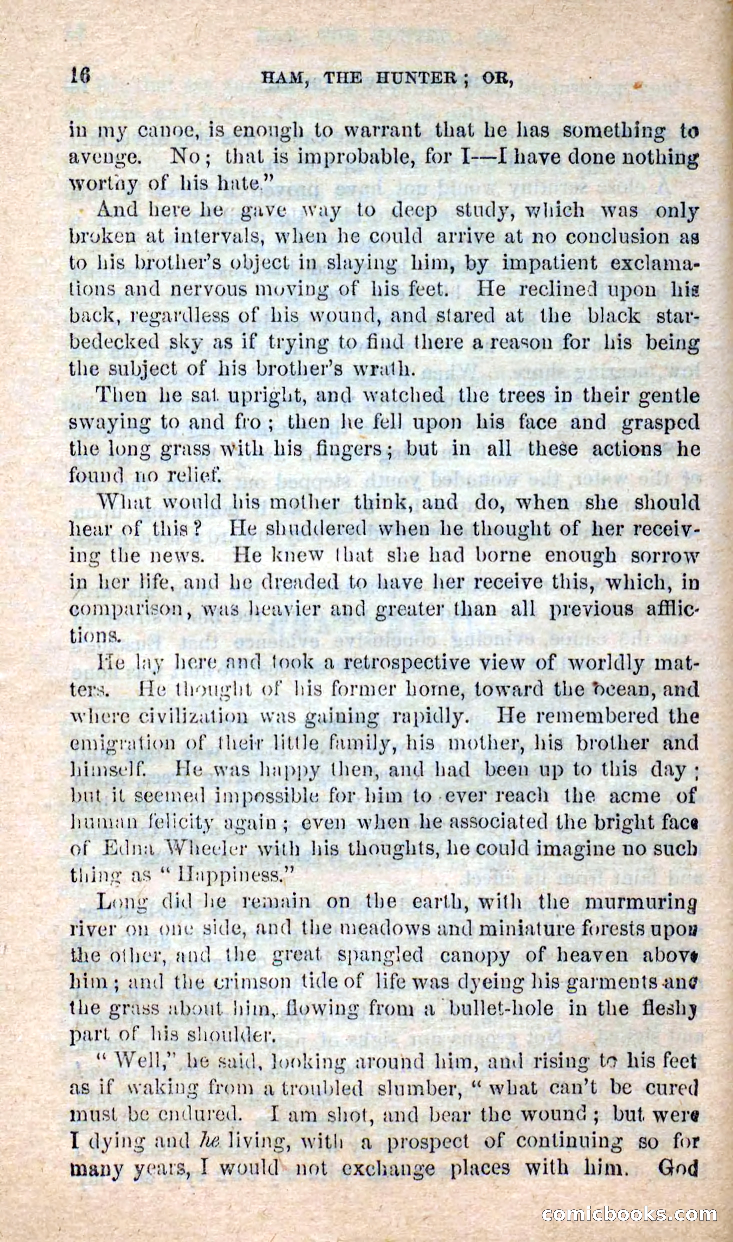Beadle's New Dime Novels: Hunter Ham — page 12 of 101
