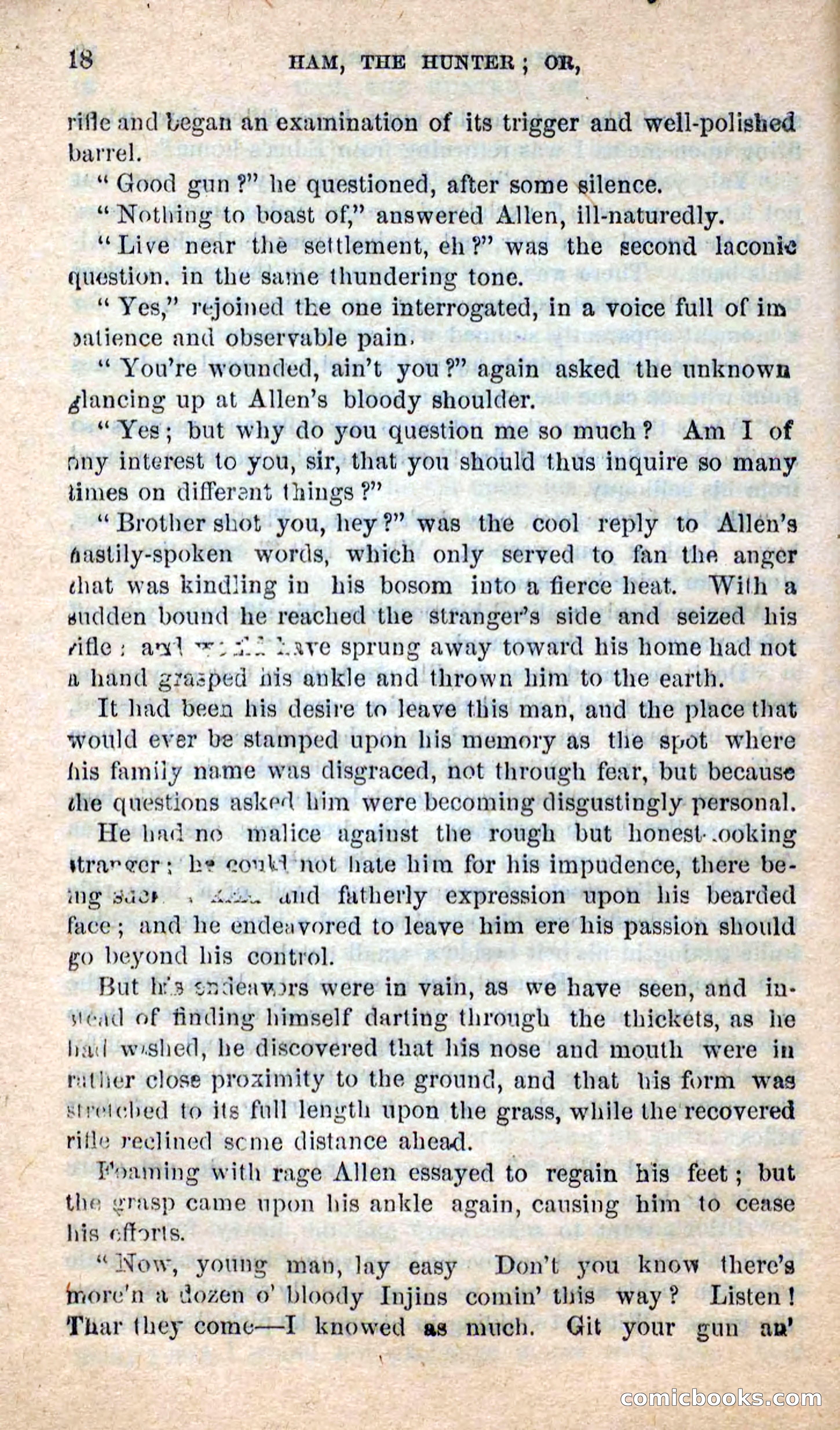 Beadle's New Dime Novels: Hunter Ham — page 14 of 101