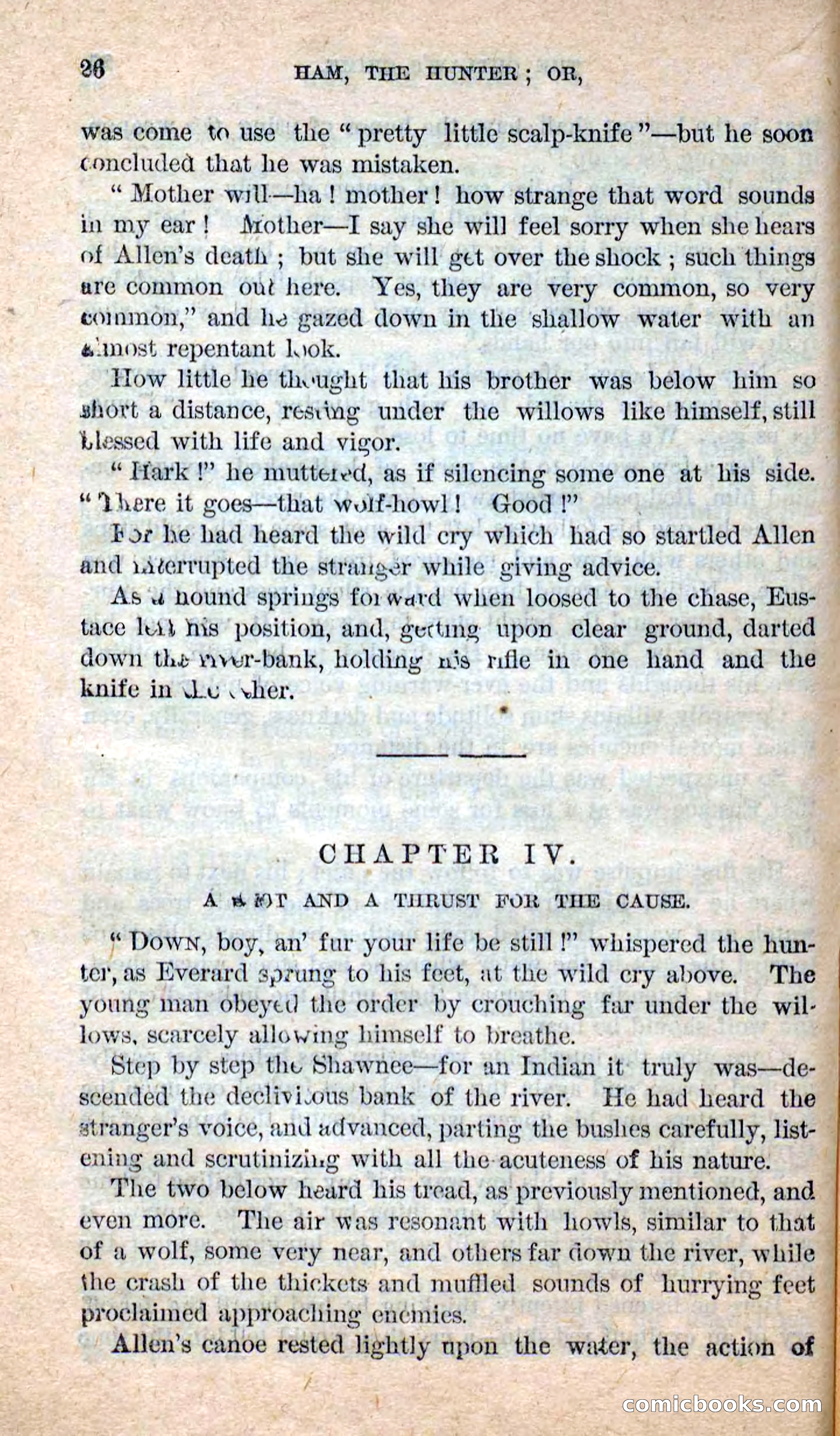 Beadle's New Dime Novels: Hunter Ham — page 22 of 101