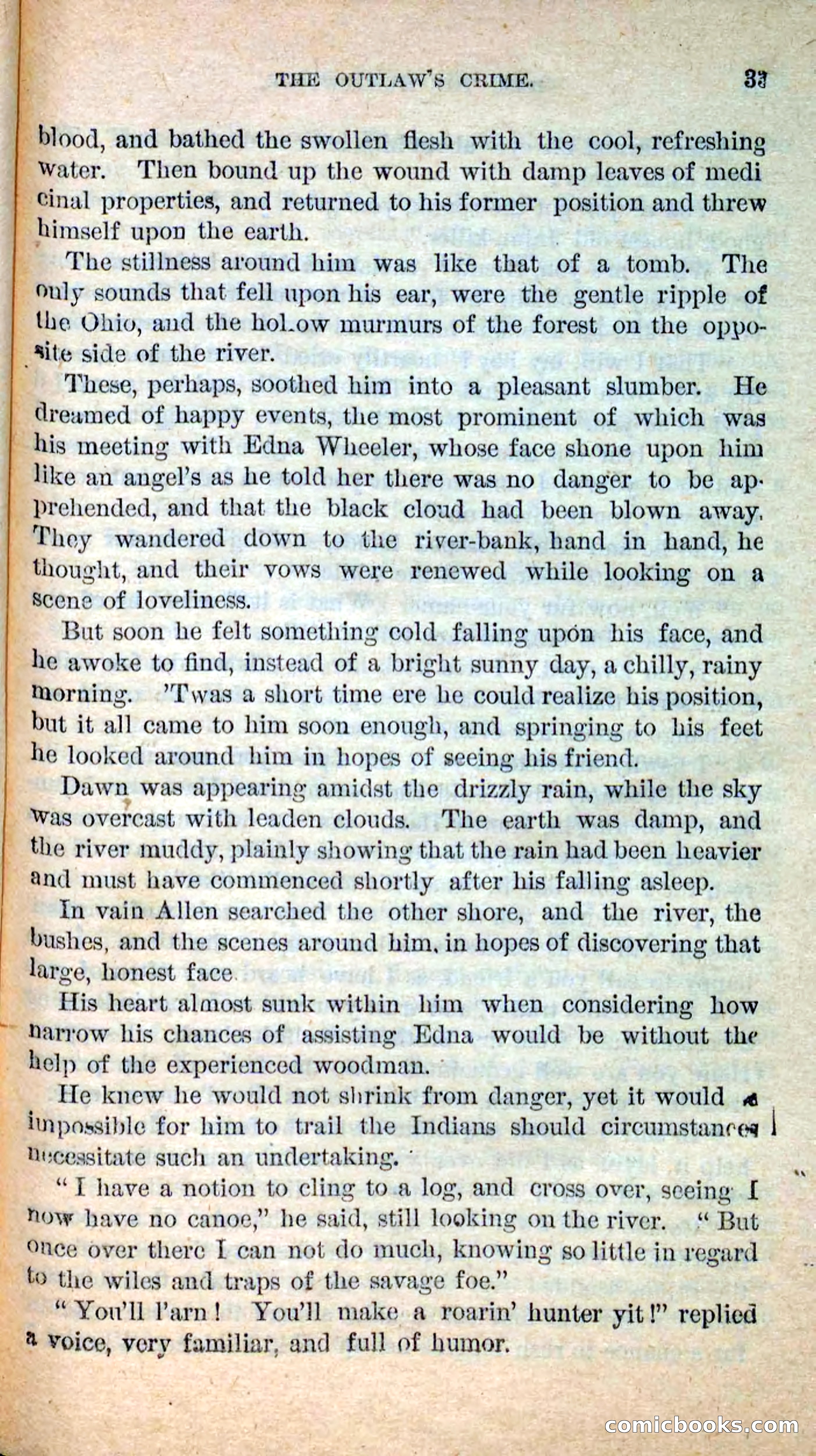 Beadle's New Dime Novels: Hunter Ham — page 29 of 101