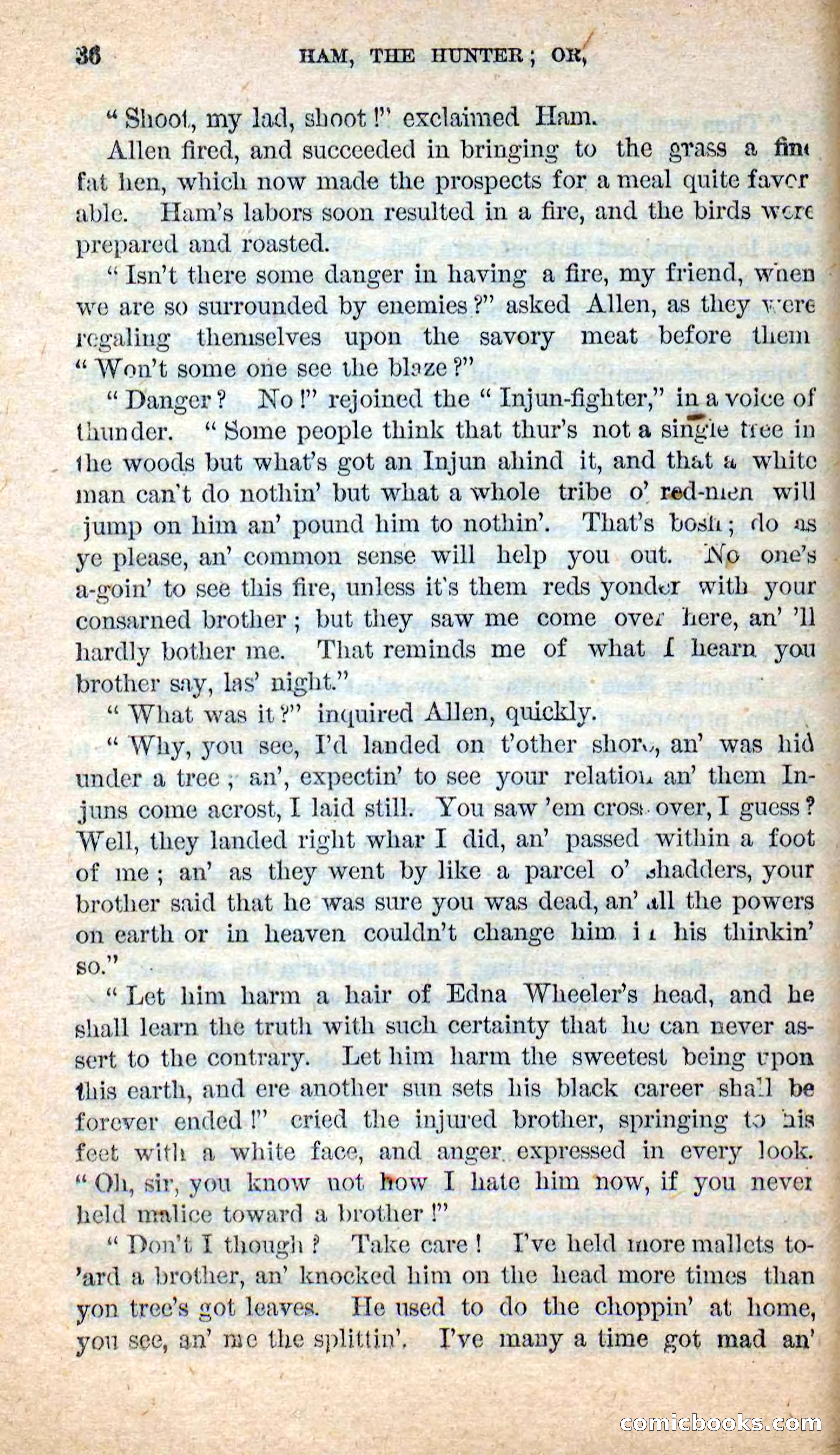 Beadle's New Dime Novels: Hunter Ham — page 32 of 101