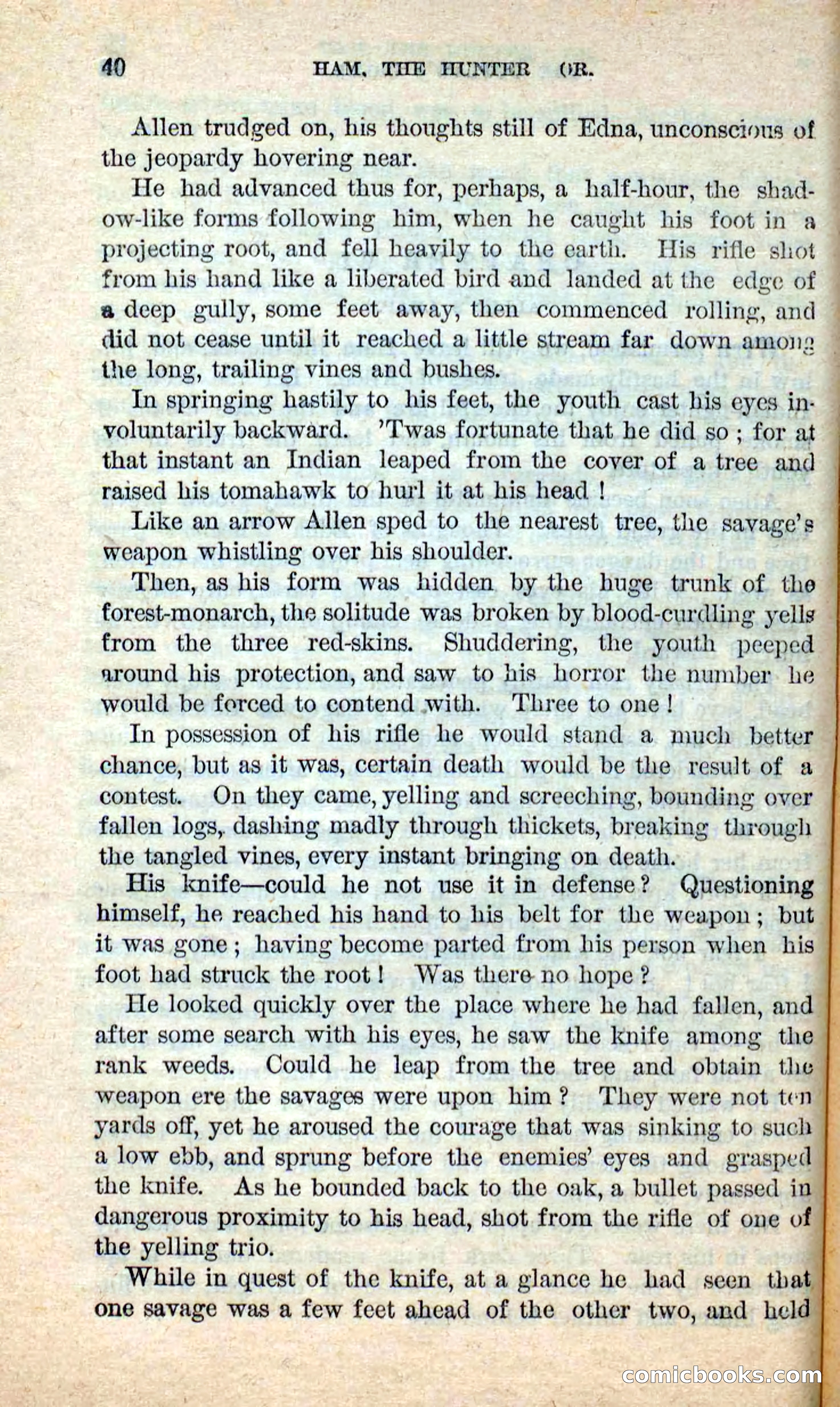 Beadle's New Dime Novels: Hunter Ham — page 36 of 101