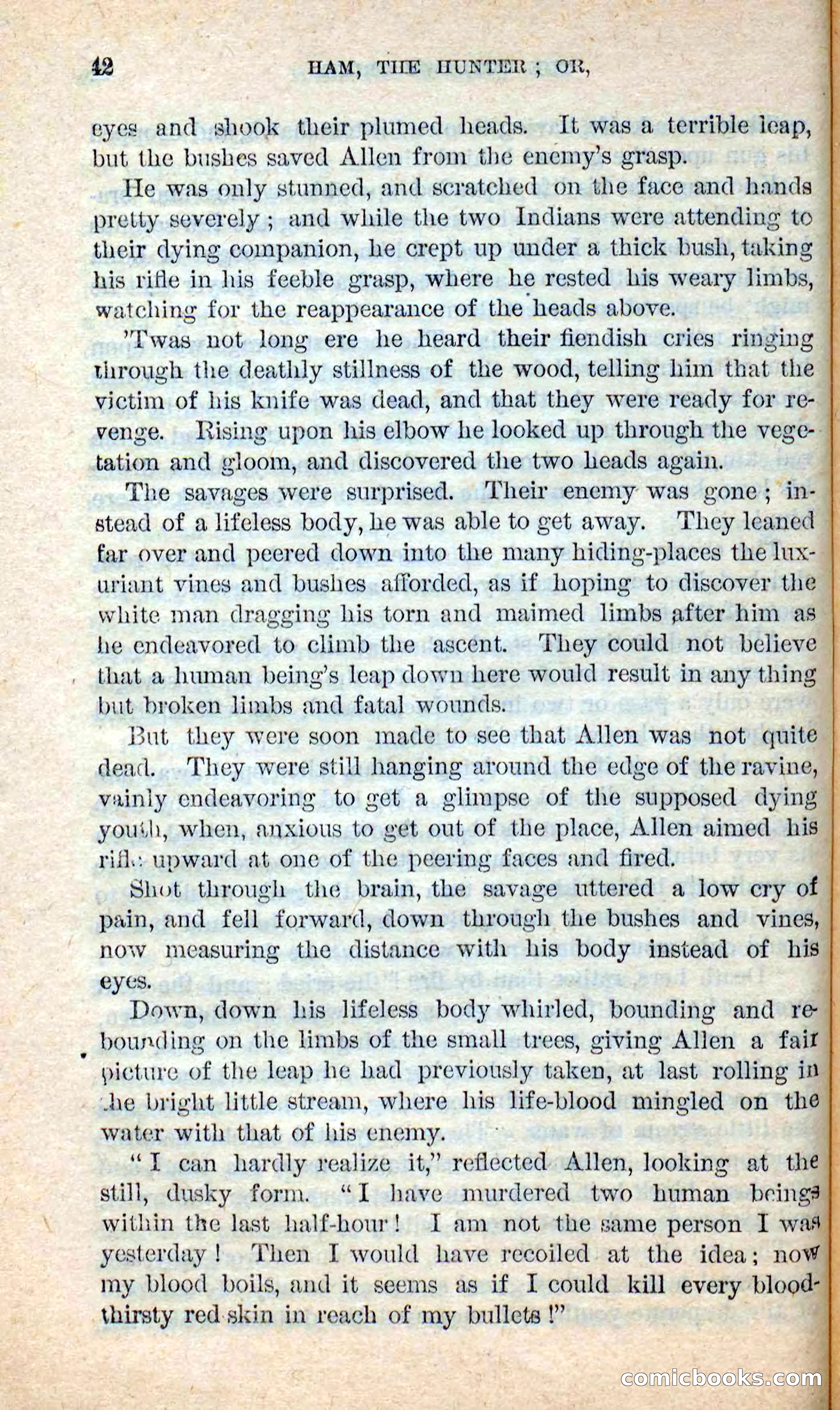 Beadle's New Dime Novels: Hunter Ham — page 38 of 101